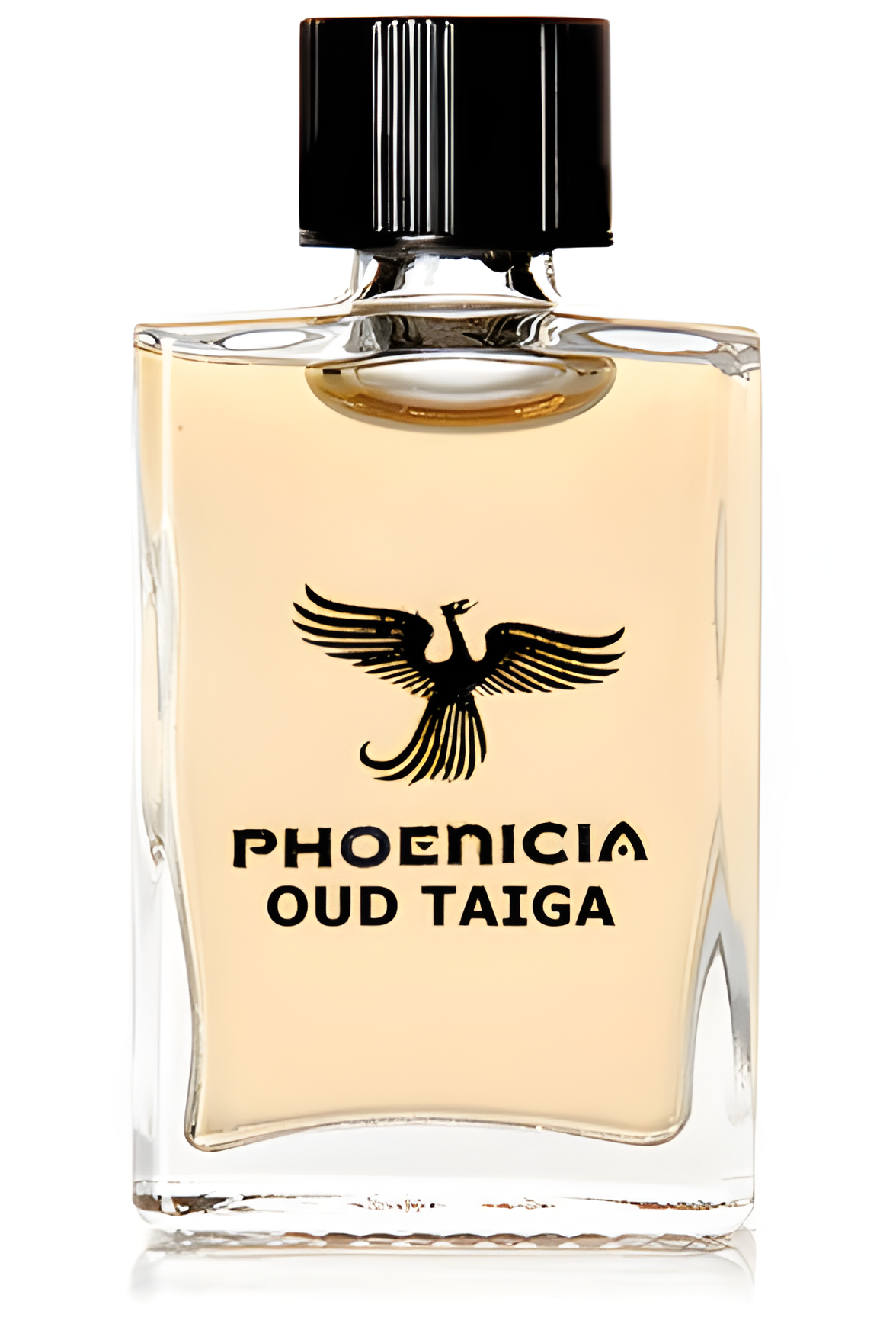 Oud Taiga by Phoenicia Perfumes perfume bottle