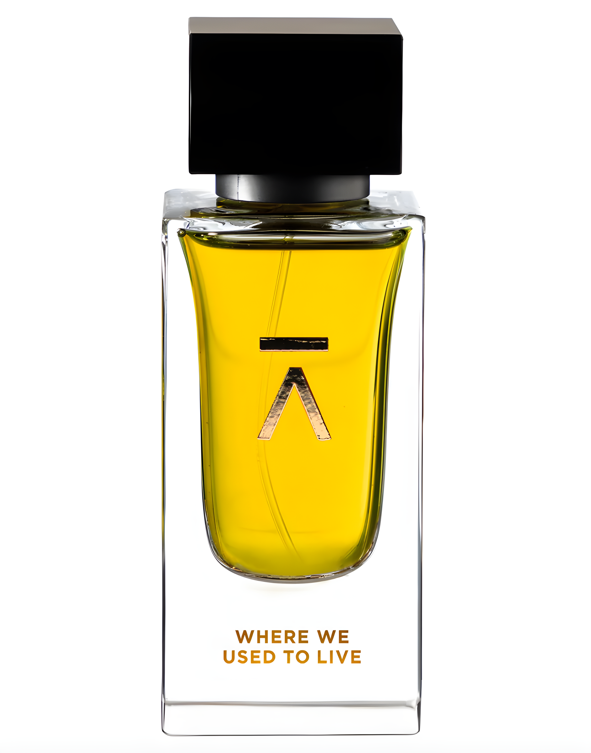 Where We Used to Live by Azman perfume bottle