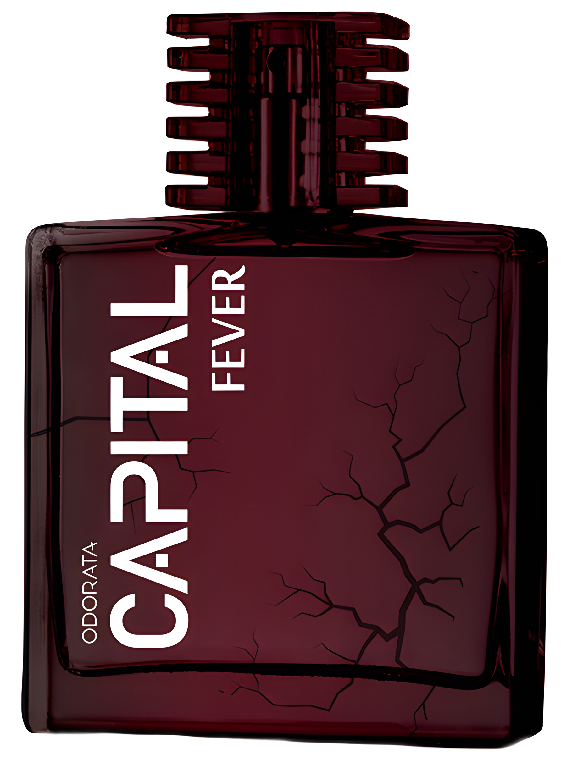 Capital Fever by Odorata perfume bottle