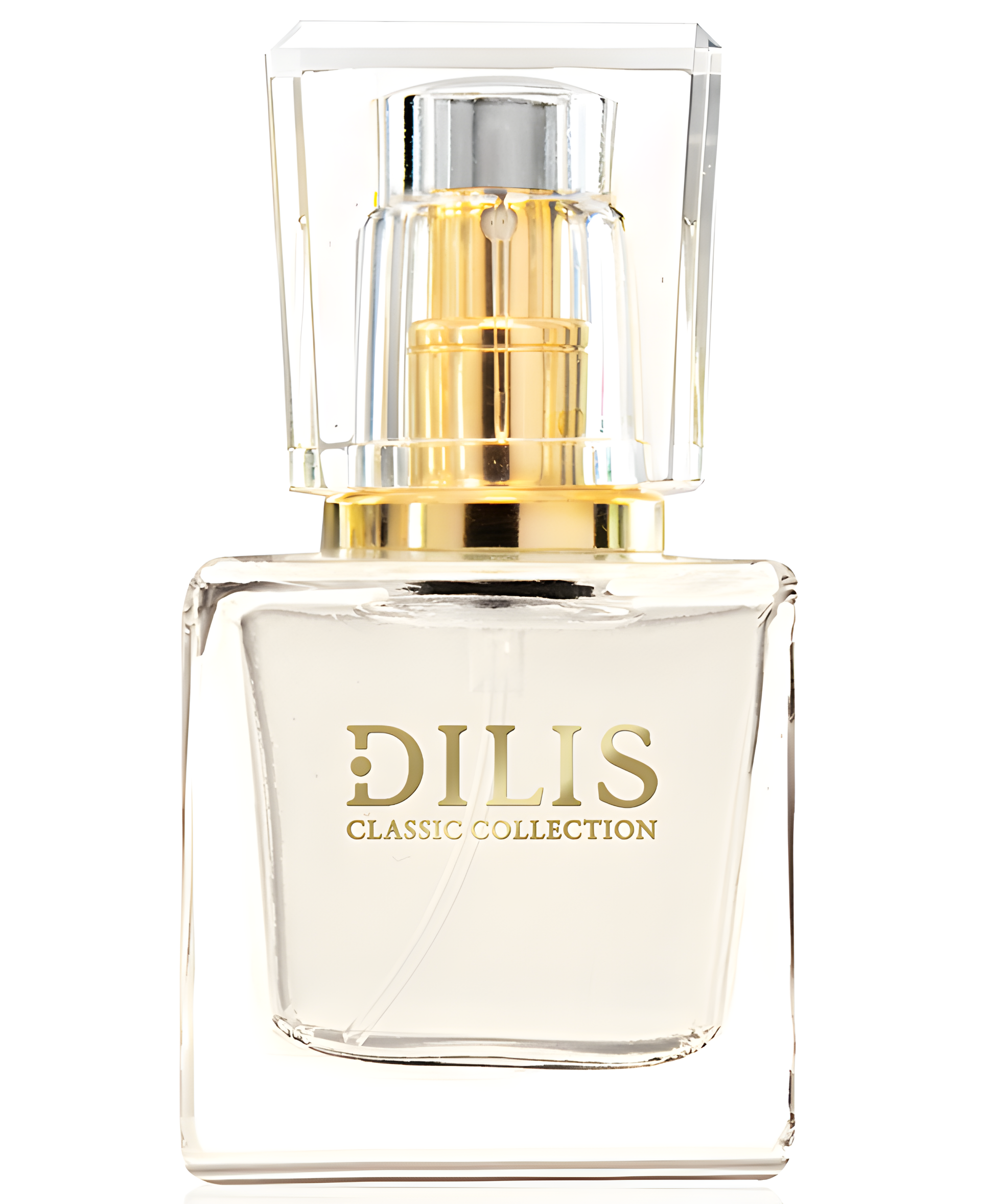 Dilis Classic Collection No. 10 by Dilís Parfum perfume bottle