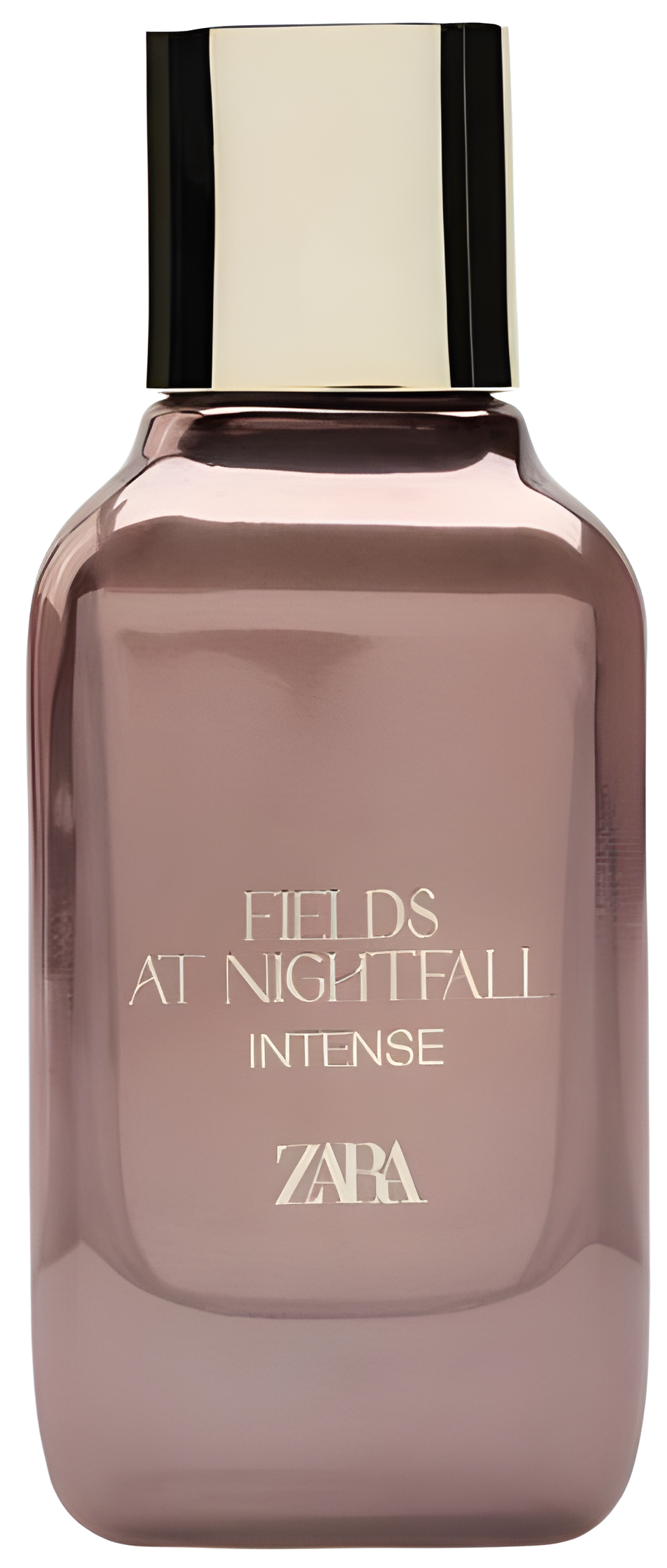 Fields at Nightfall Intense by Zara perfume bottle