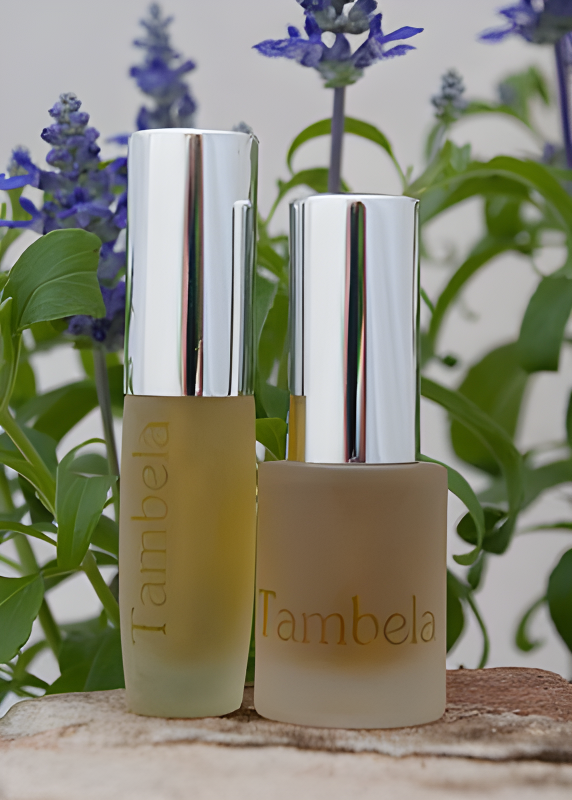Wild Chypre by Tambela Natural Perfumes perfume bottle
