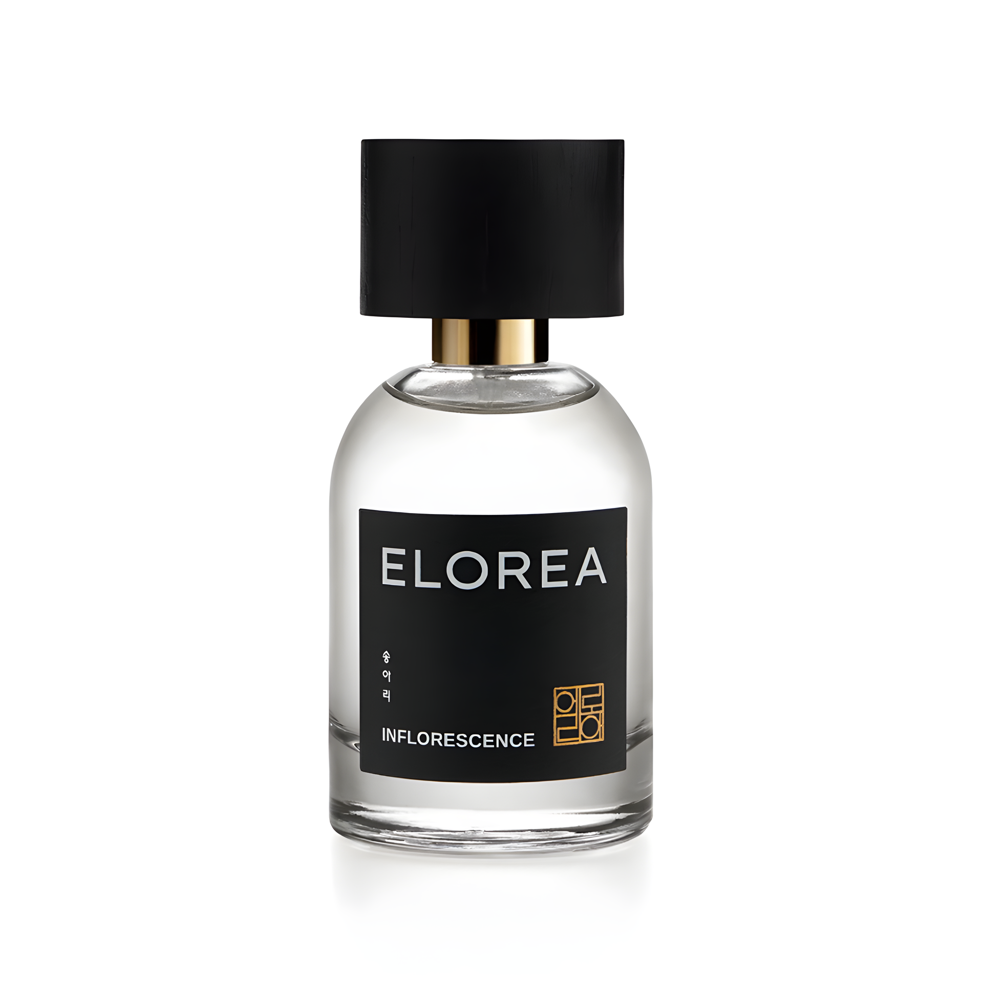 INFLORESCENCE (송아리) by ELOREA | 향수 perfume bottle