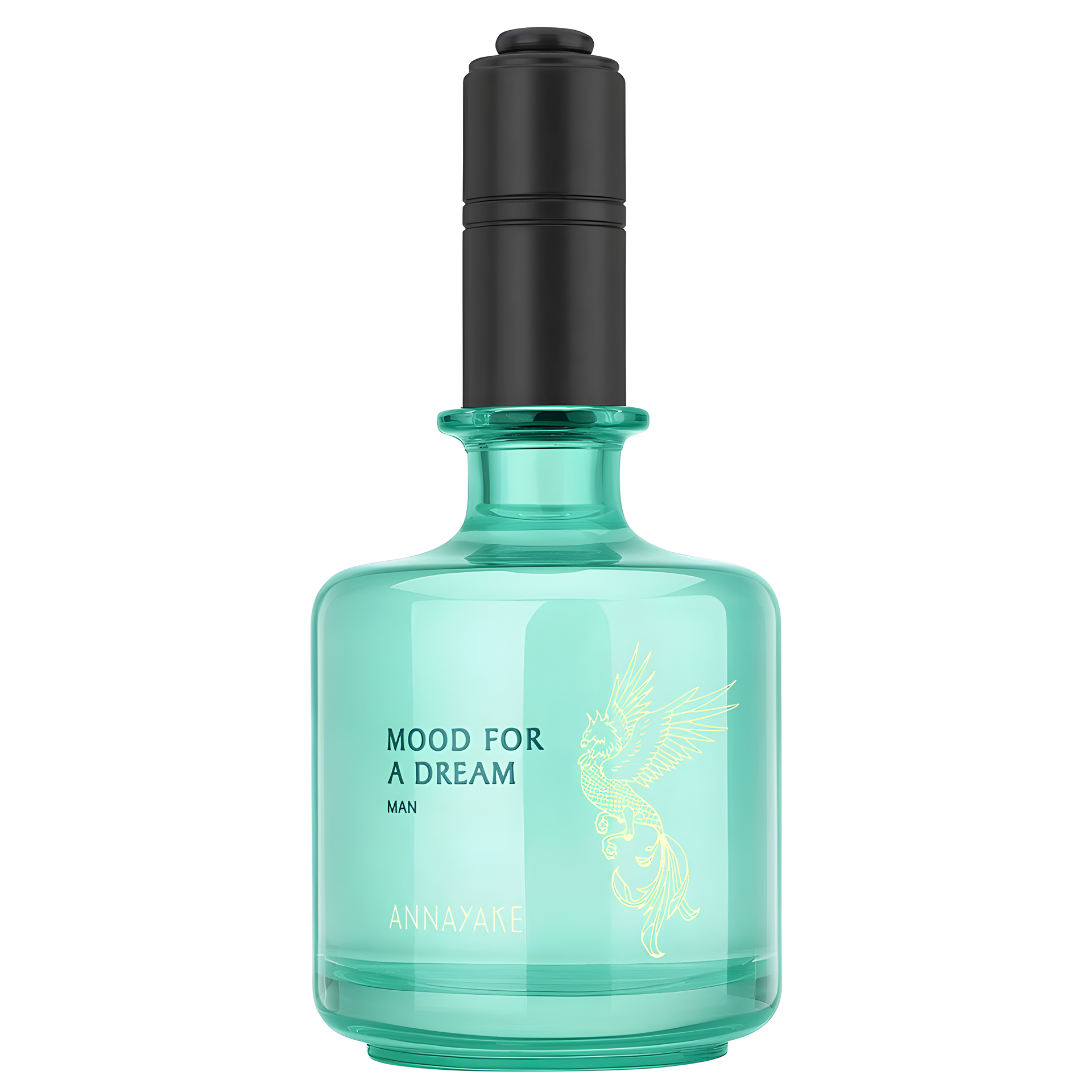 Mood for a Dream Man by Annayake perfume bottle