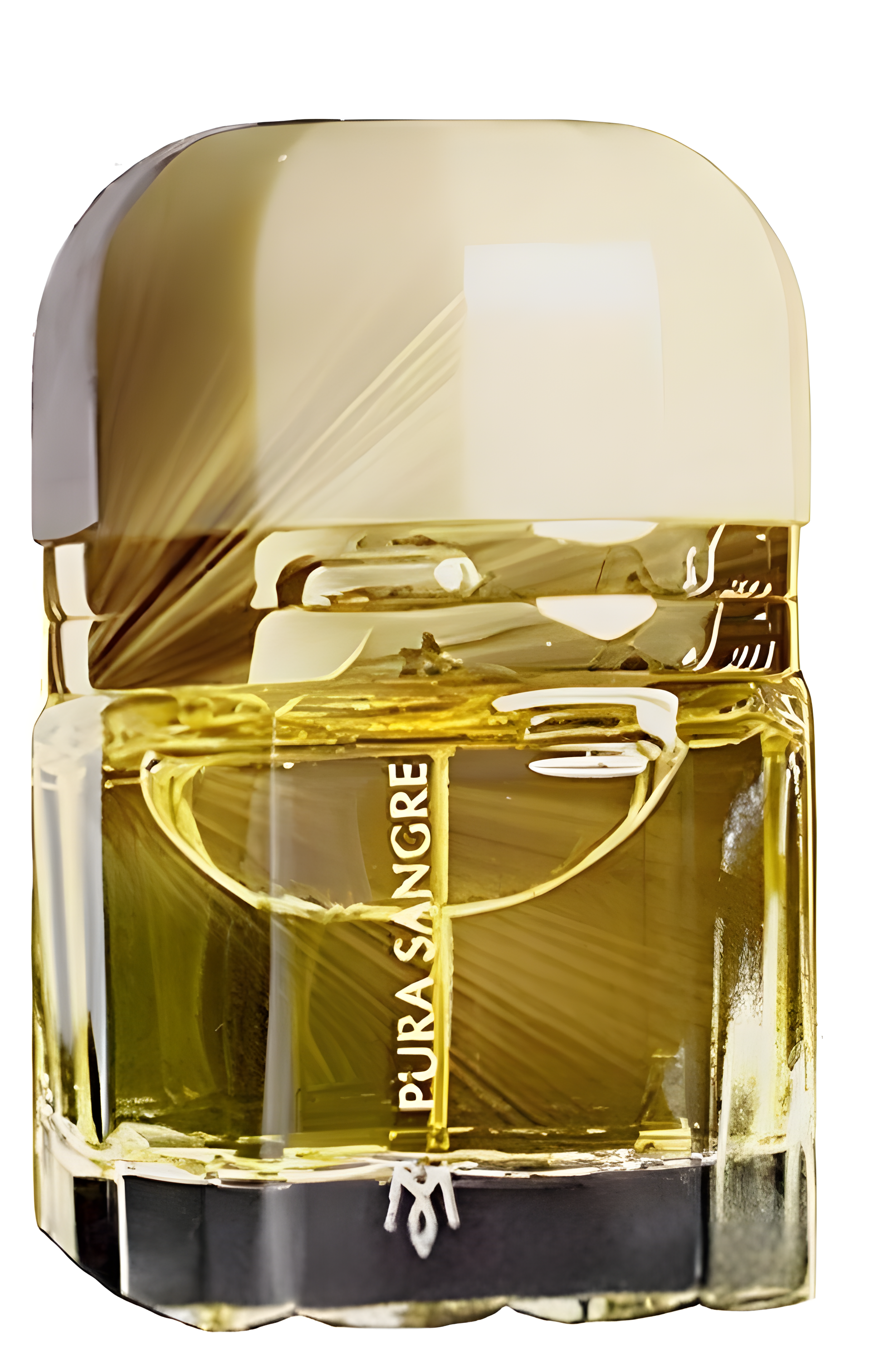 Pura Sangre by Ramon Monegal perfume bottle