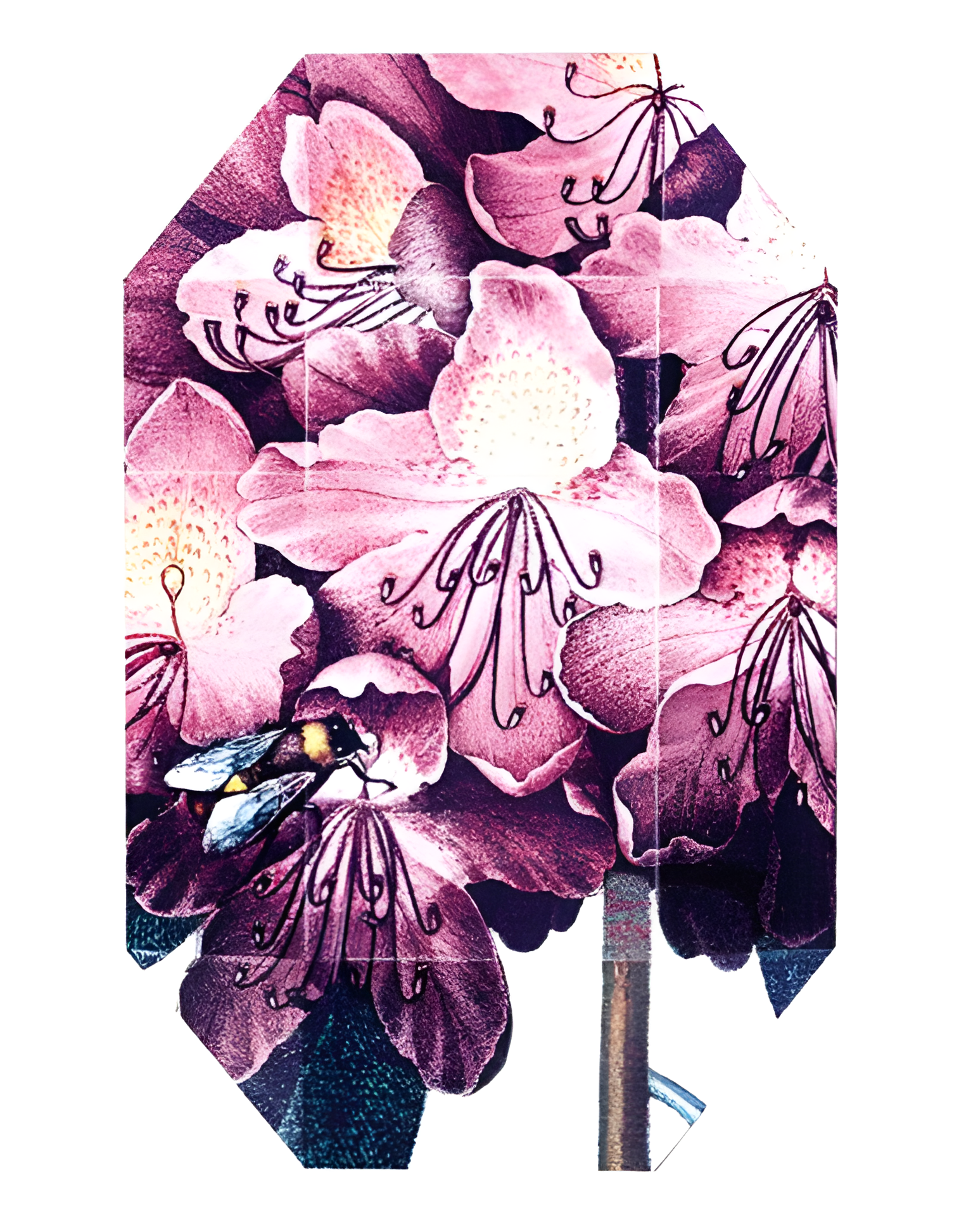 Print Collection Stella 01 (2011) by Stella McCartney perfume bottle