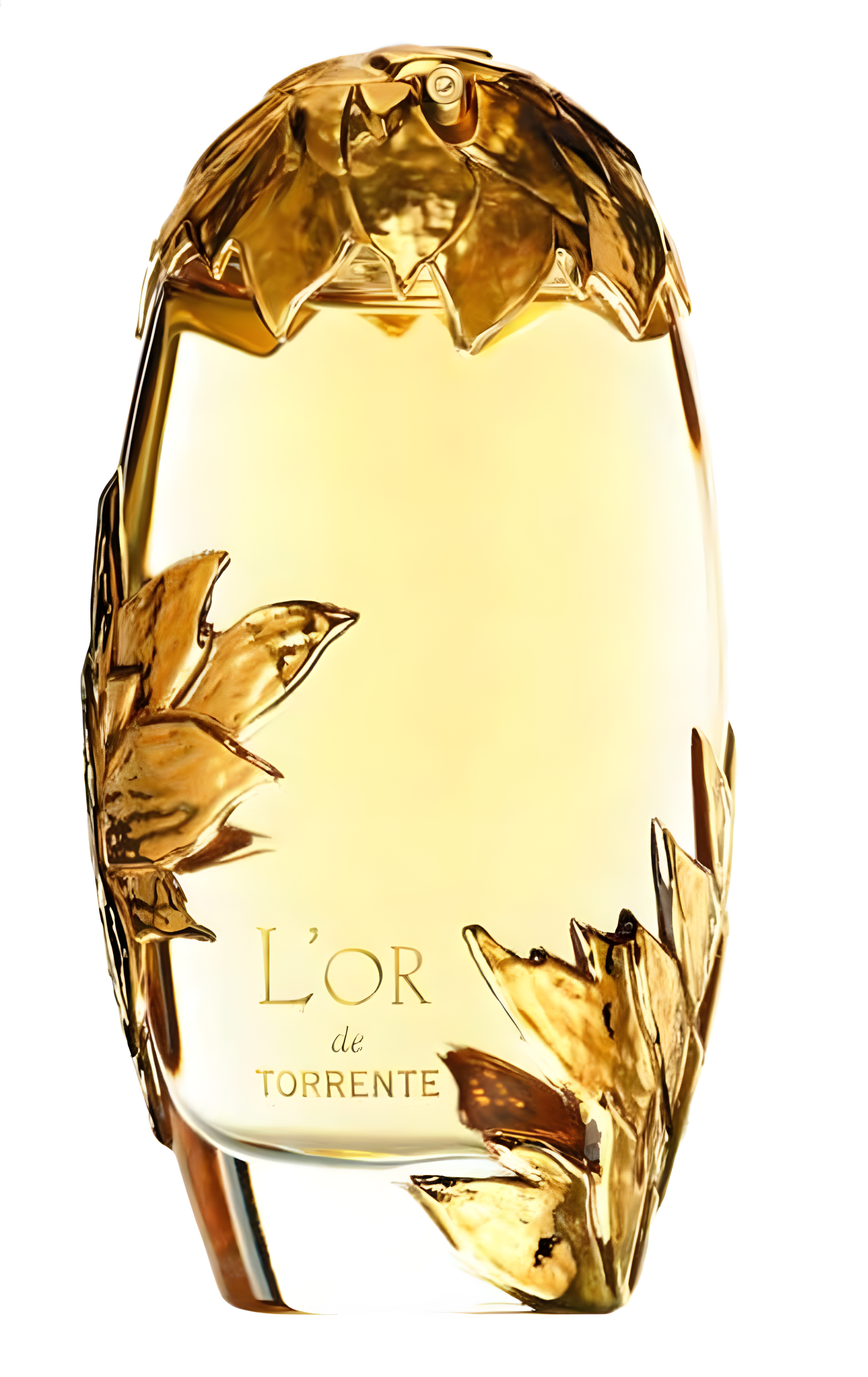L'Or de Torrente Eau de Parfum by Torrente perfume bottle