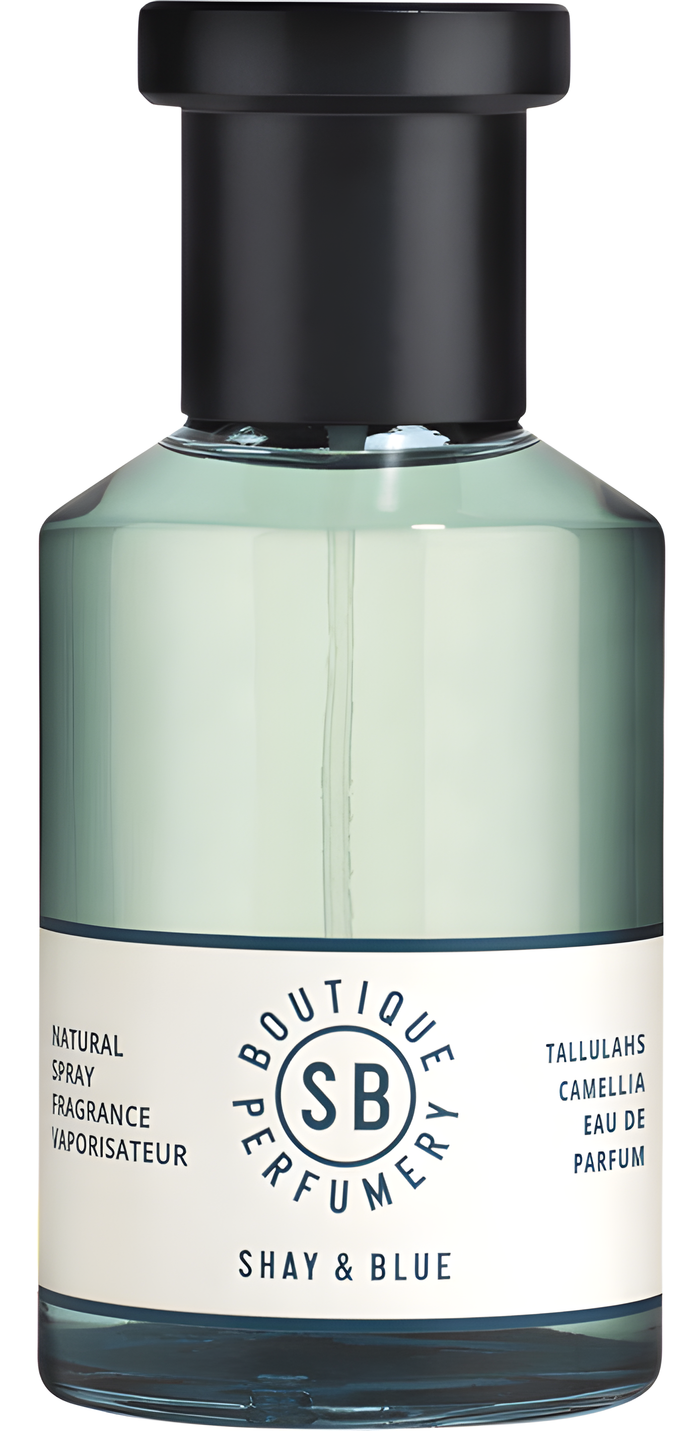 Tallulahs Camellia by Shay & Blue London perfume bottle