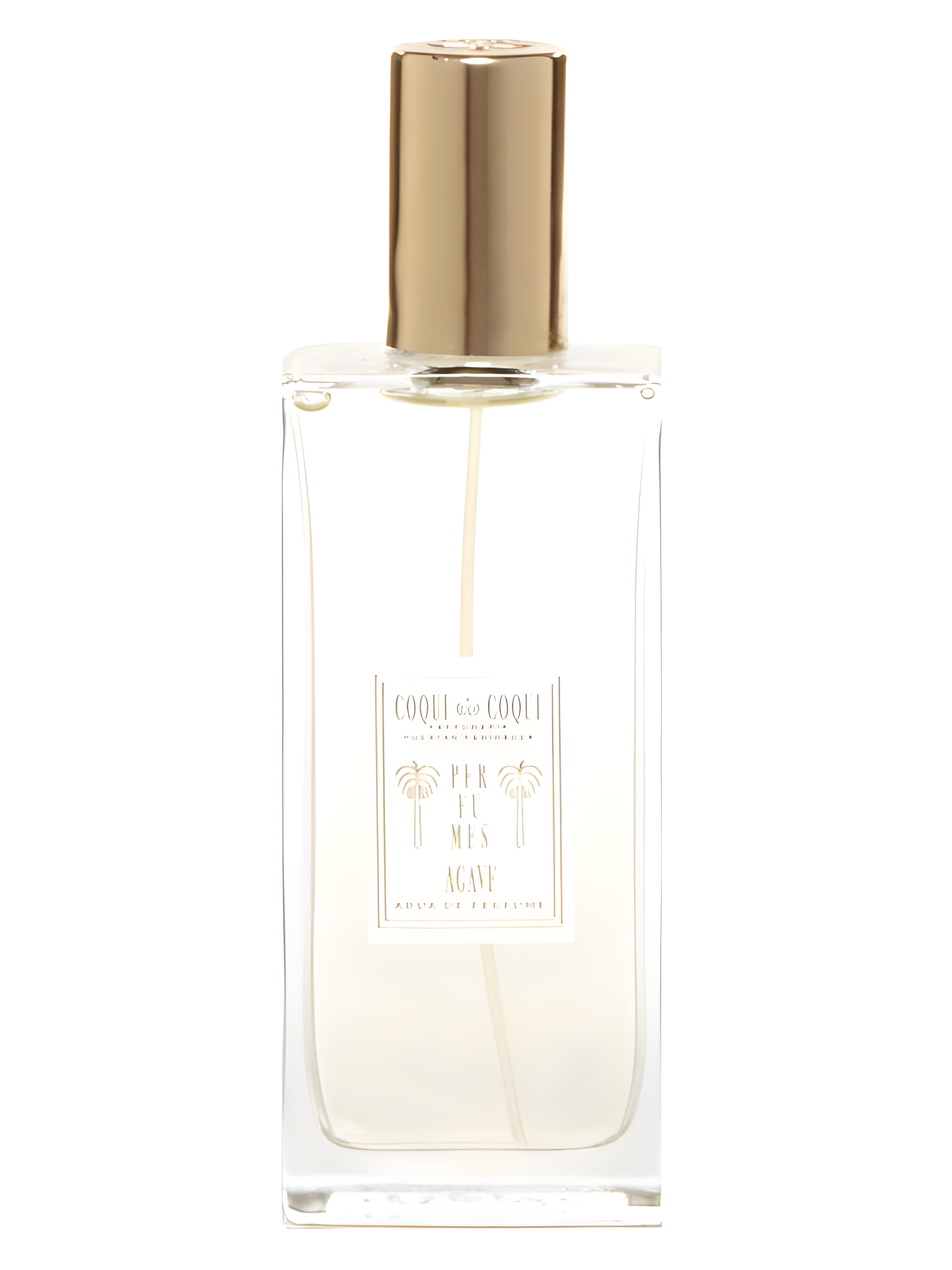 Agave by Coqui Coqui perfume bottle