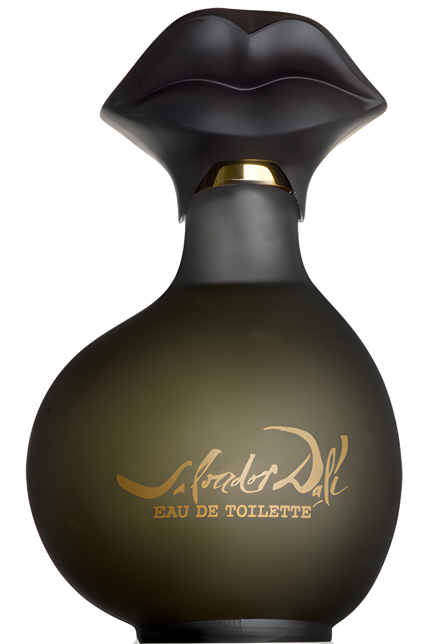 Salvador Dali Pour Homme by Salvador Dali perfume bottle