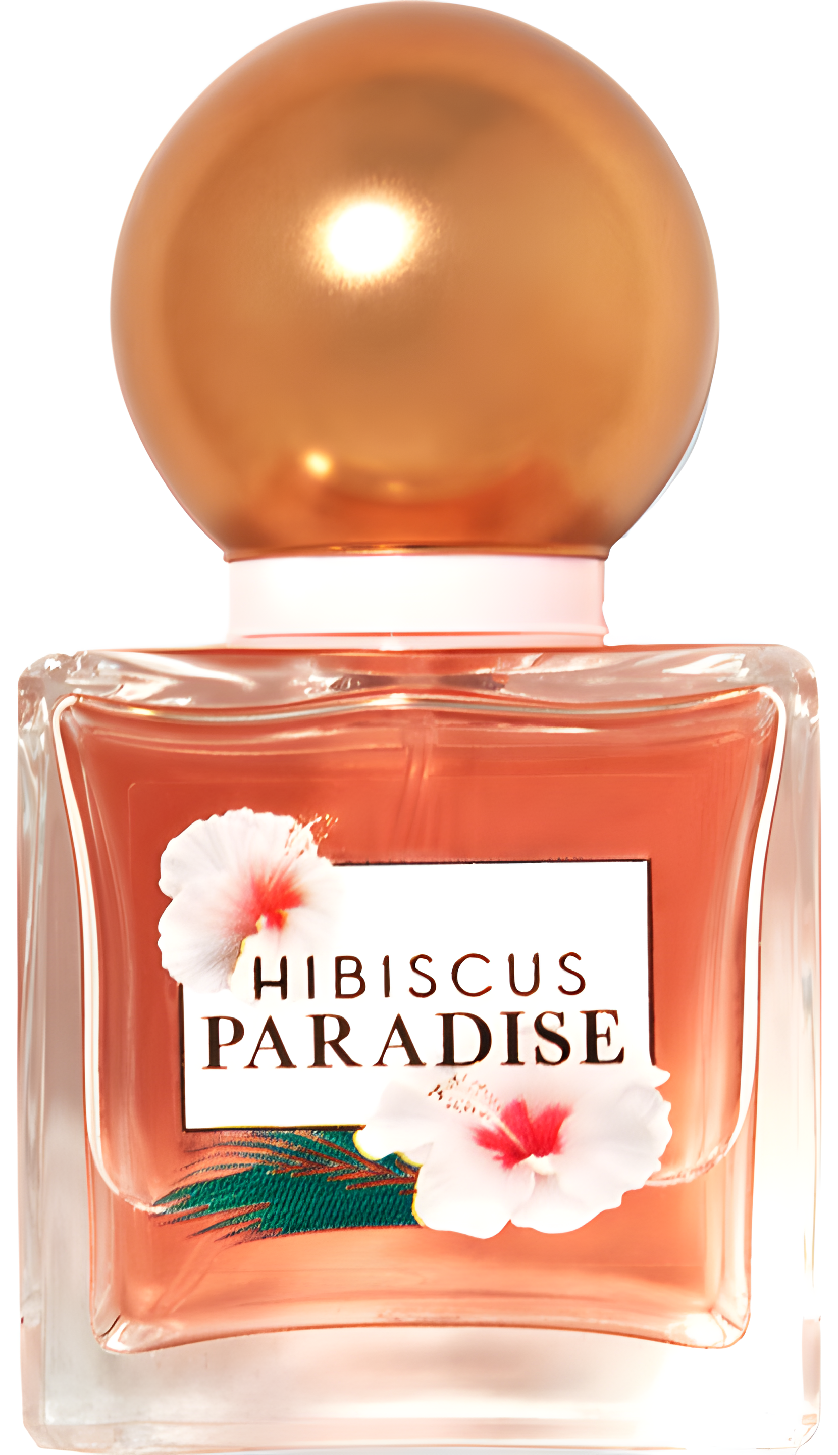 Hibiscus Paradise by Bath & Body Works perfume bottle