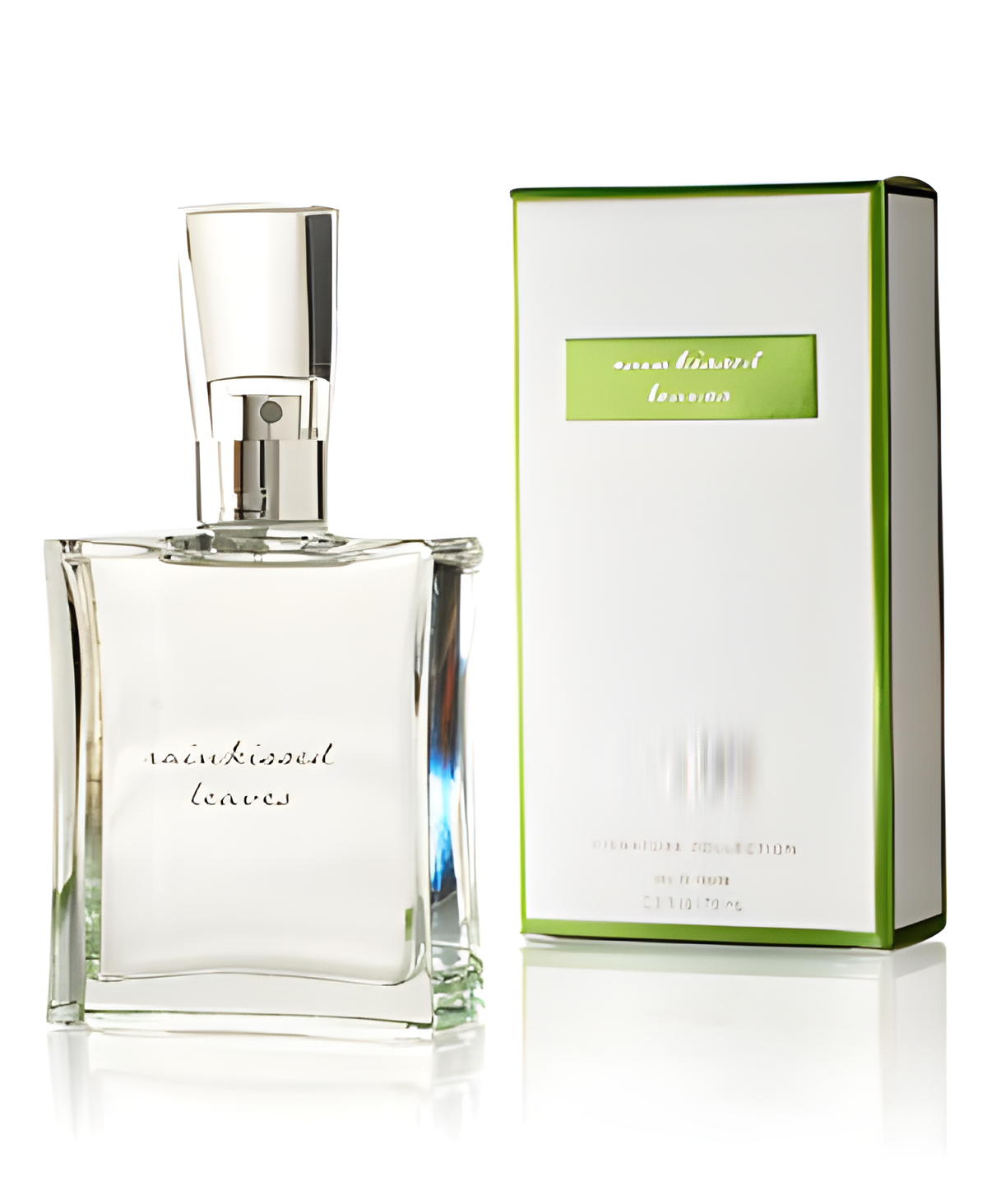 Rainkissed Leaves by Bath & Body Works perfume bottle