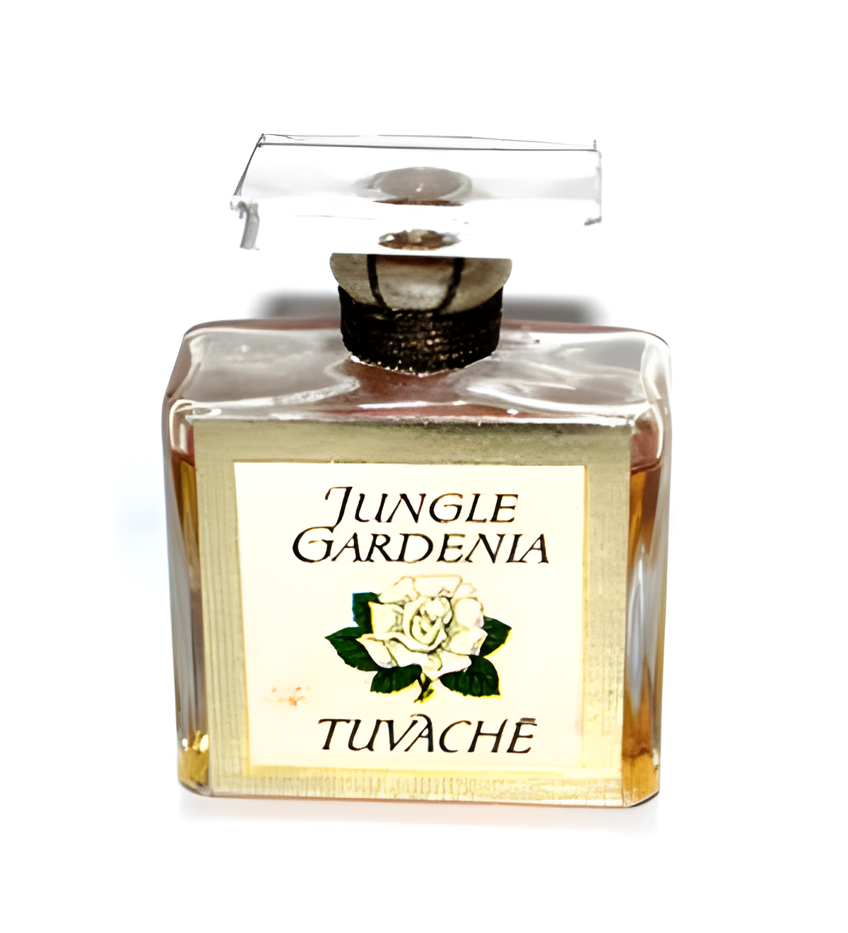 Jungle Gardenia by Tuvaché perfume bottle
