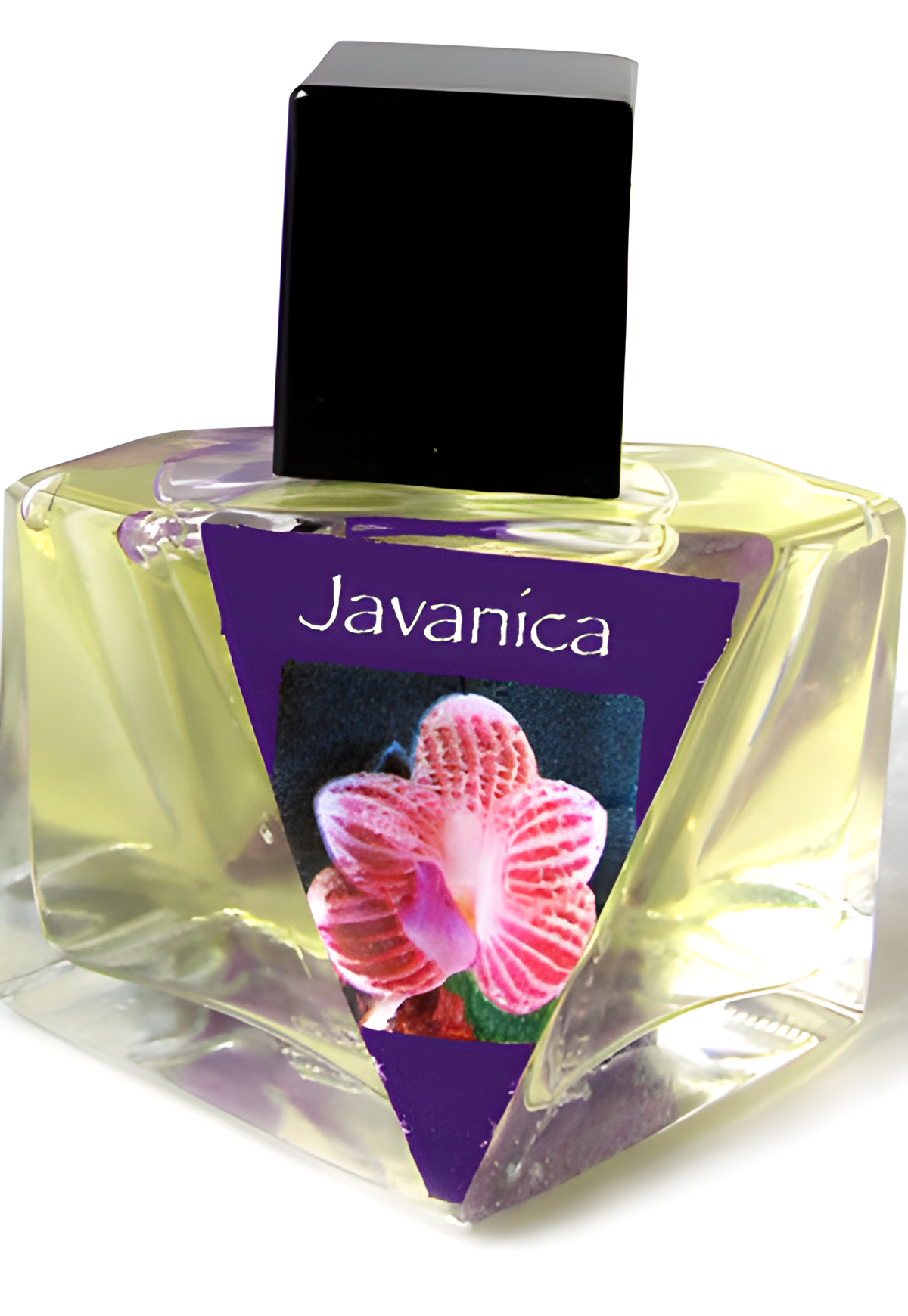Javanica by Olympic Orchids Artisan Perfumes perfume bottle