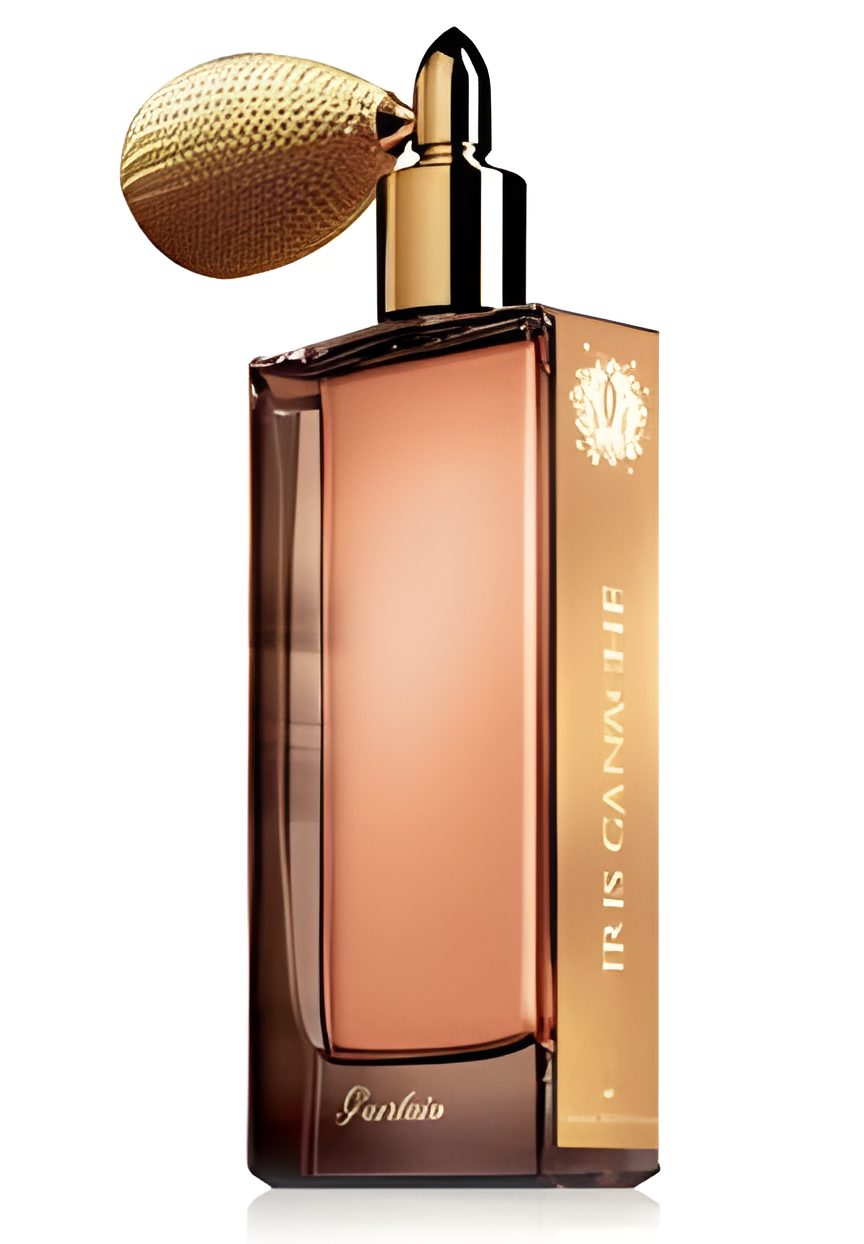 Iris Ganache by Guerlain perfume bottle