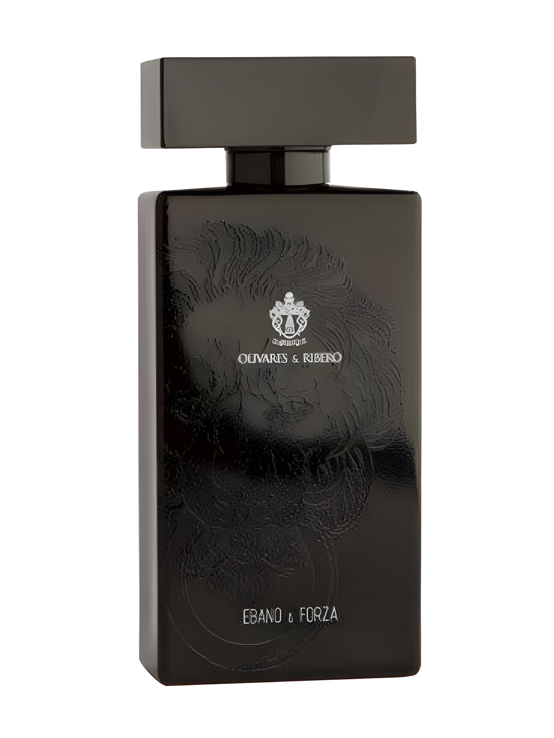 Ebano & Forza by Olivares & Ribero perfume bottle