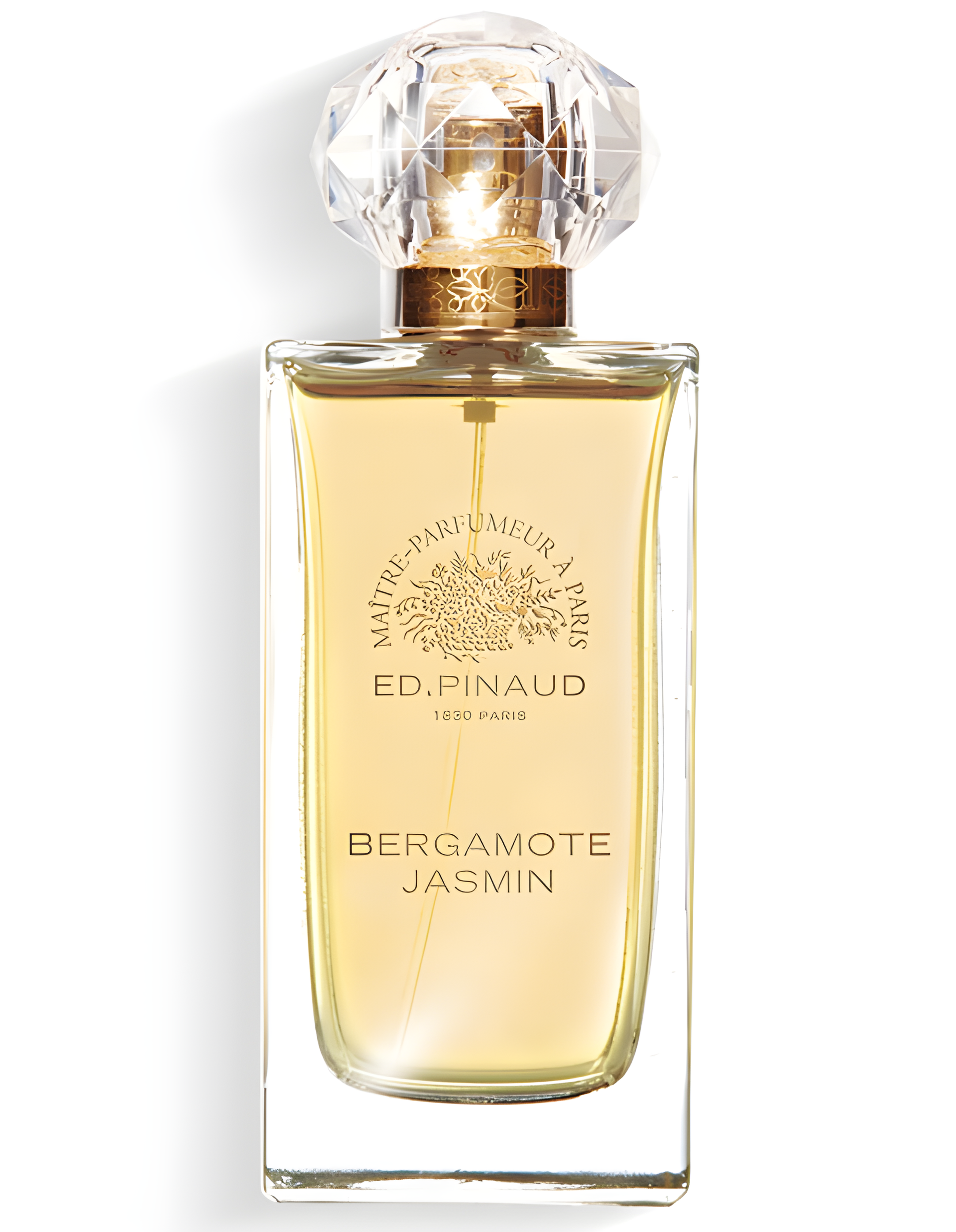 Bergamote Jasmin by Ed Pinaud perfume bottle