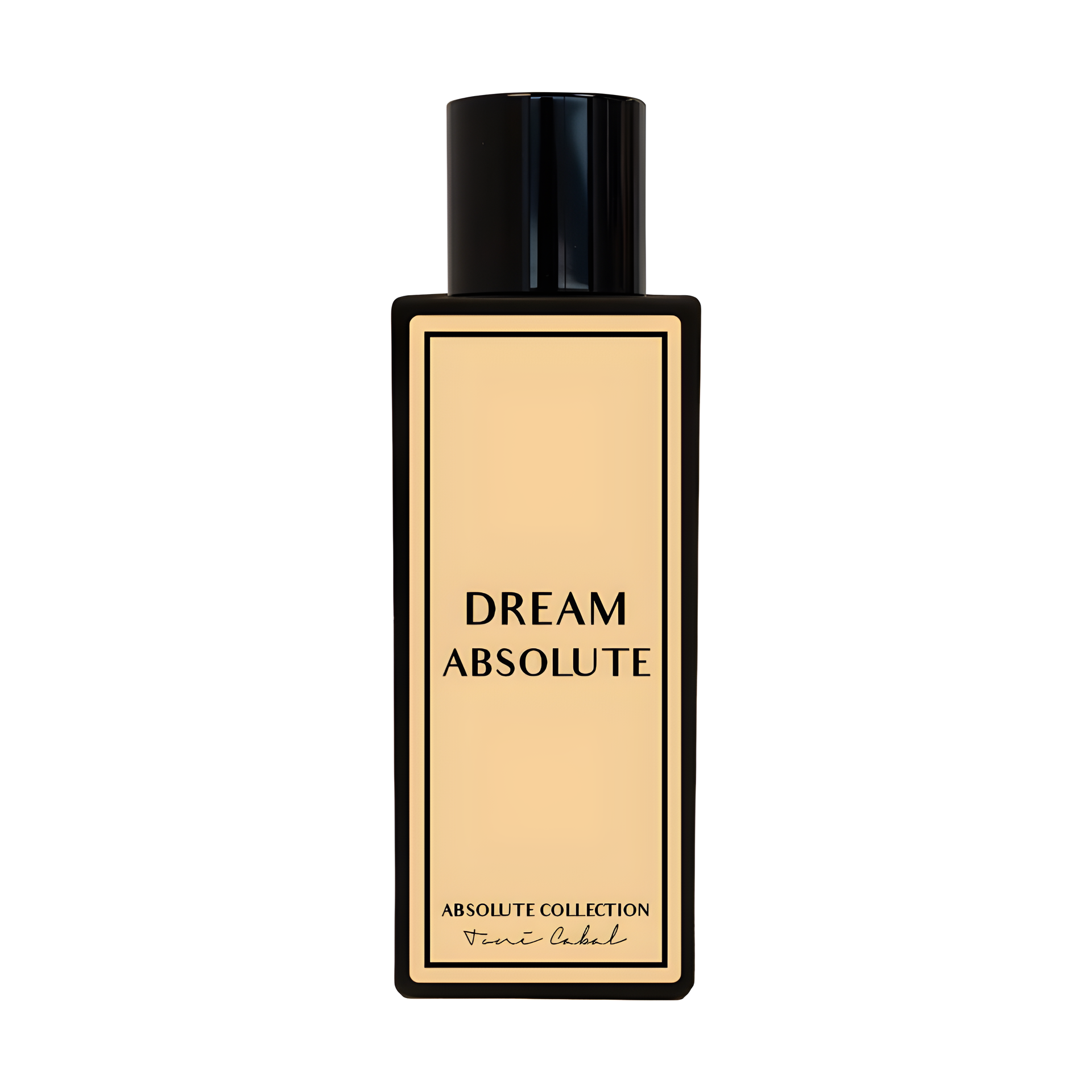 Dream Absolute by Toni Cabal perfume bottle
