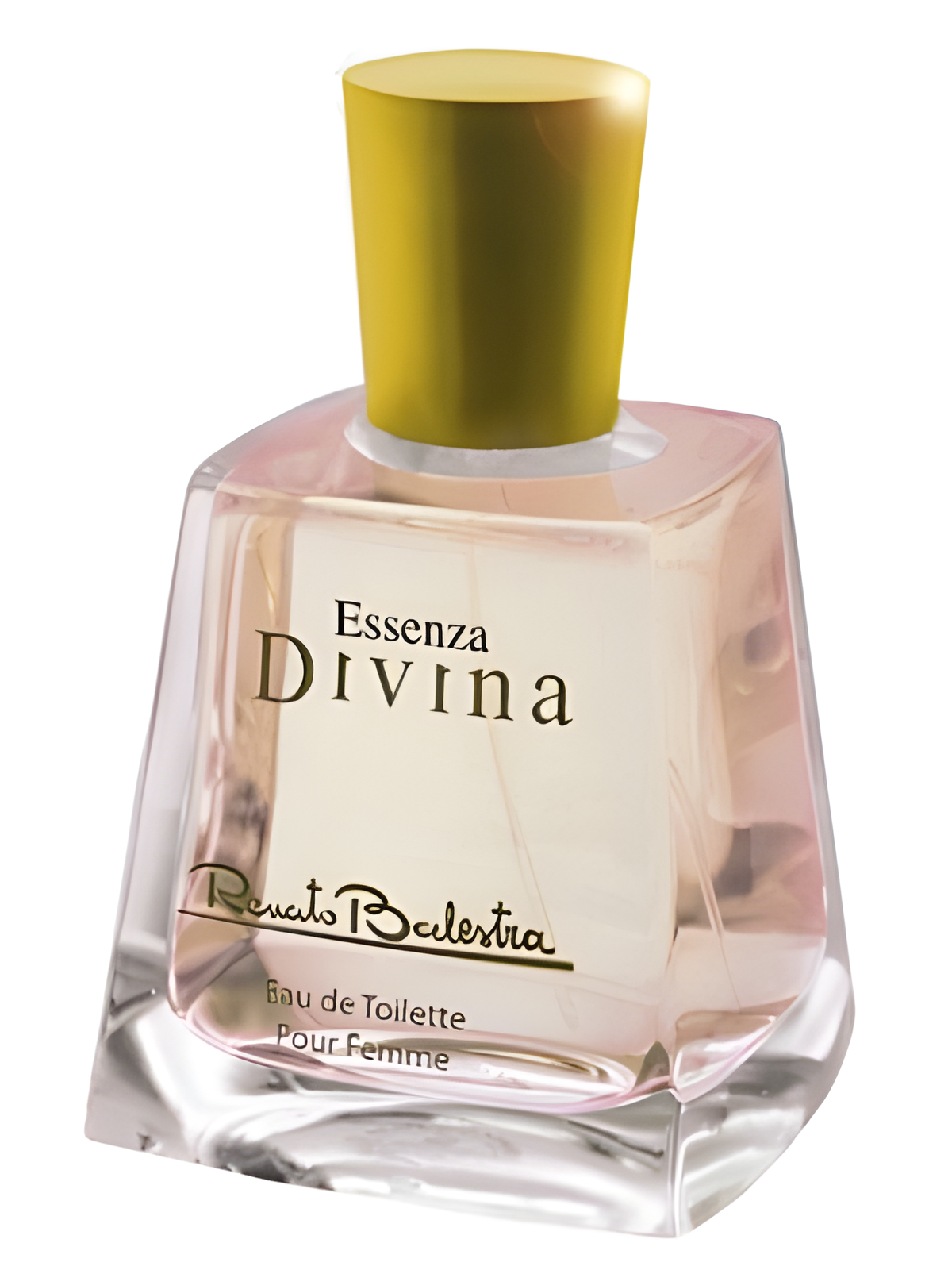 Fiori Di Essenza Divina by Renato Balestra perfume bottle