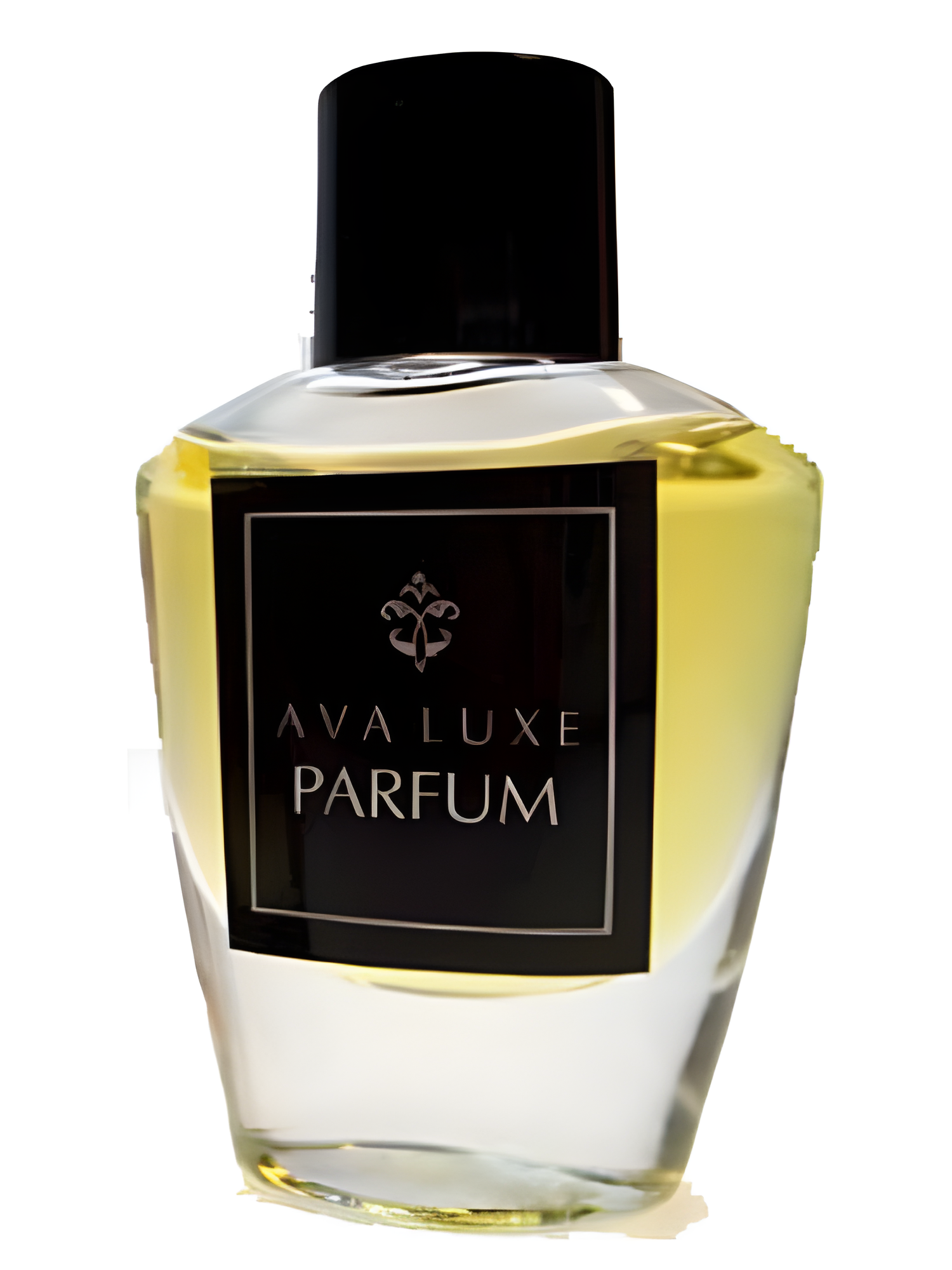 Stargazer by Ava Luxe perfume bottle