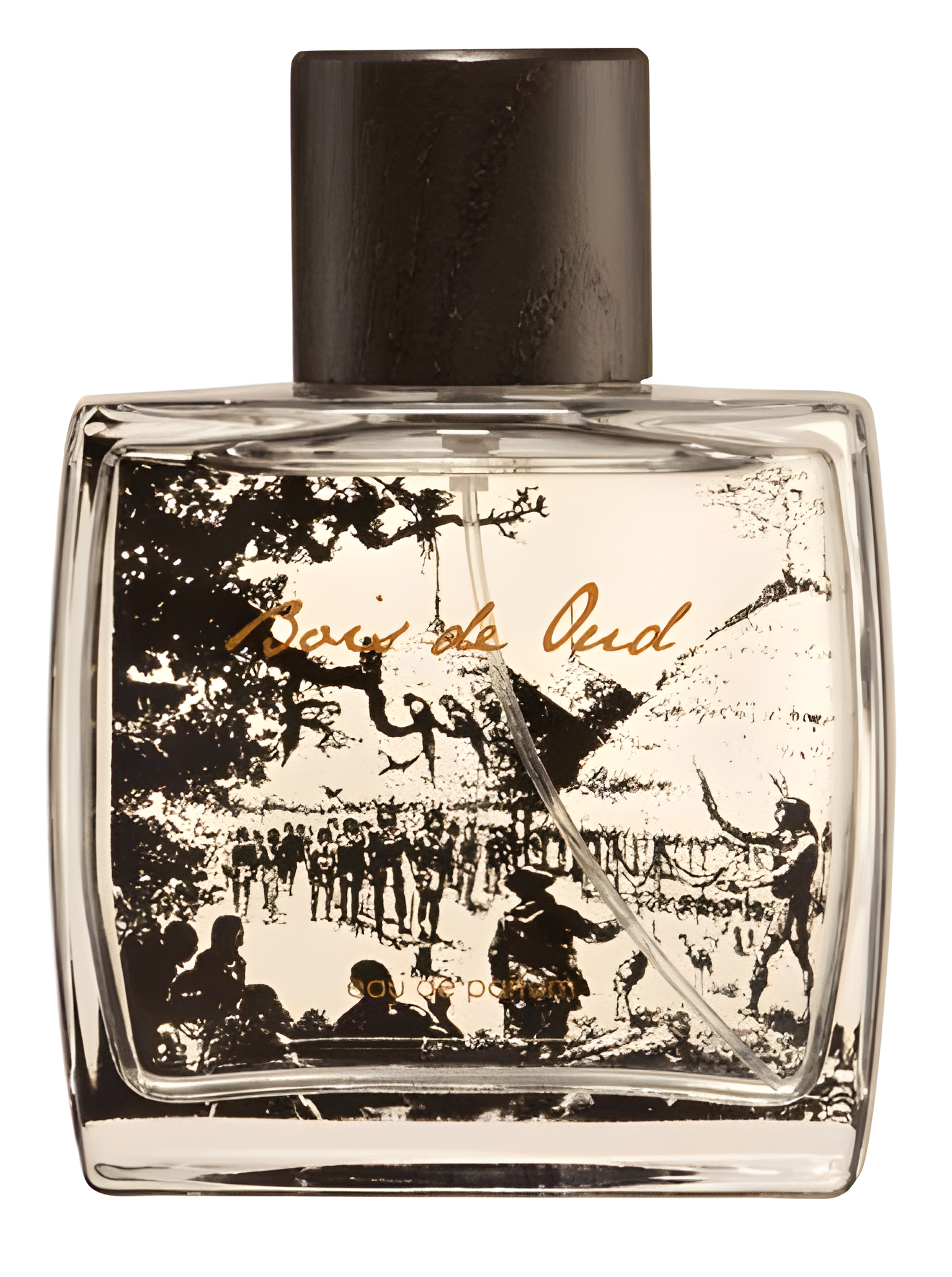Bois de Oud by Biosea perfume bottle