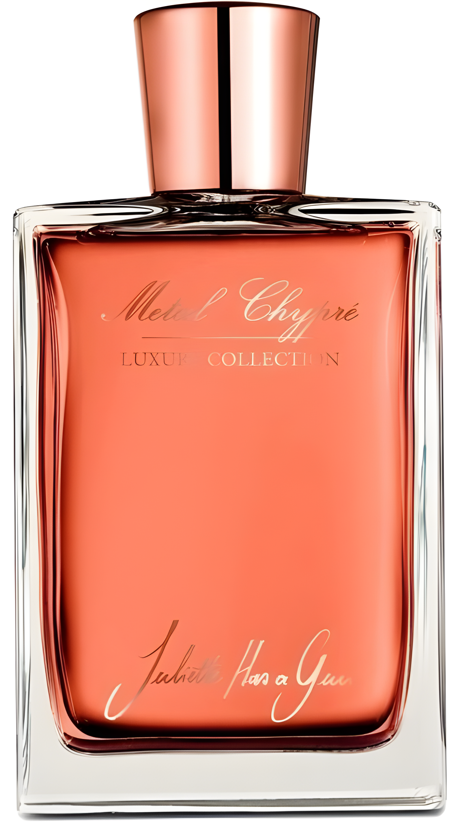 Metal Chypre by Juliette Has A Gun perfume bottle