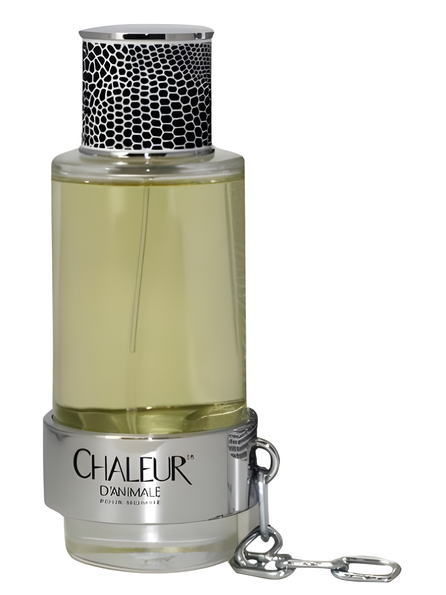 Chaleur d'Animale Pour Homme by Animale perfume bottle