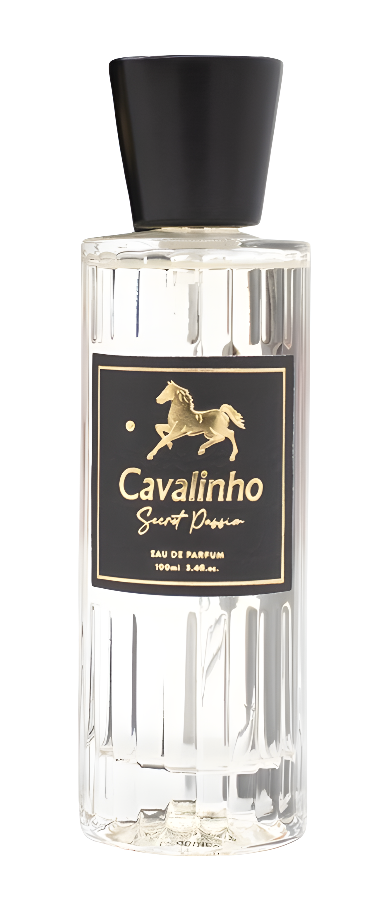 Secret Passion for Him by Cavalinho perfume bottle