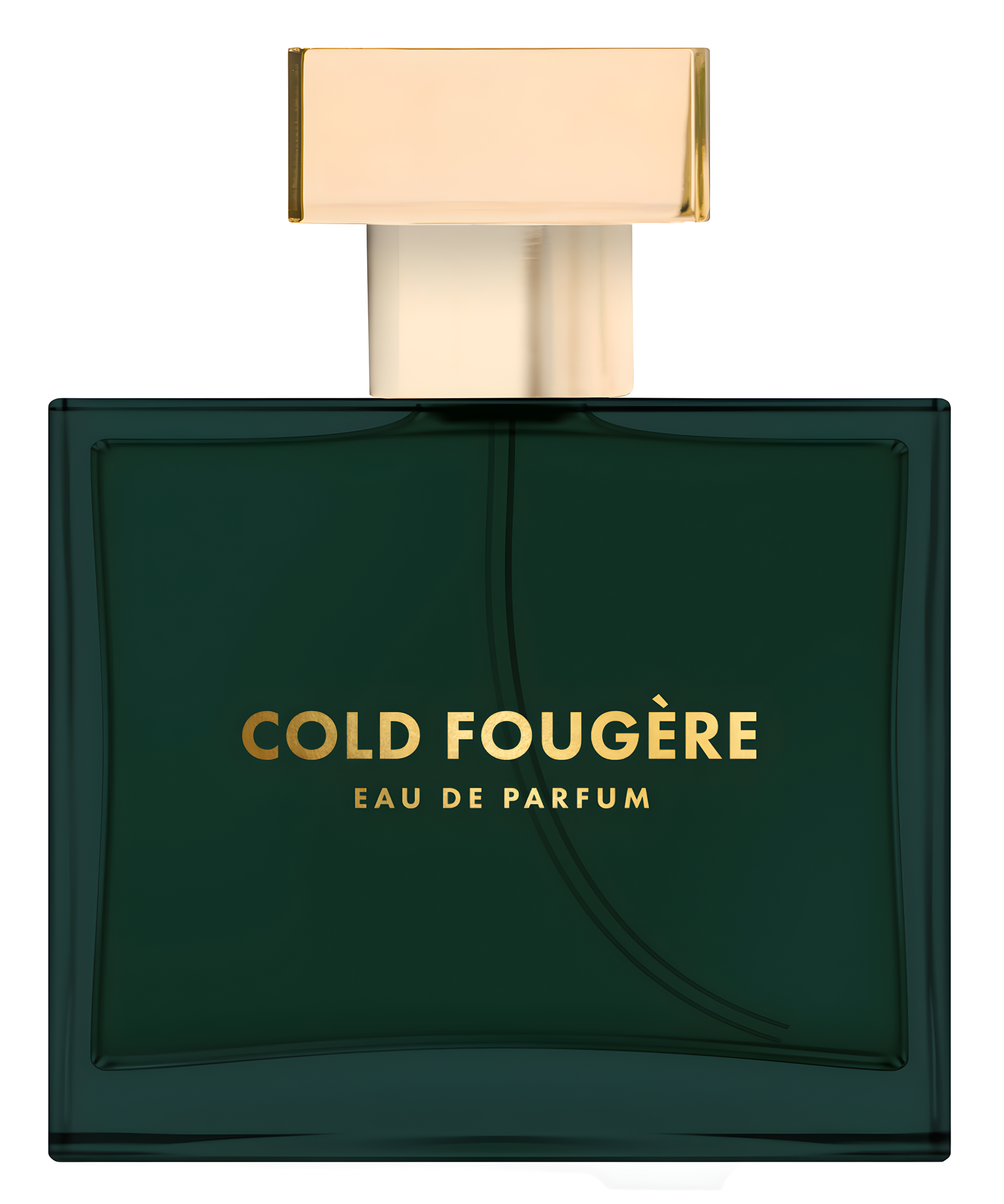 Cold Fougère by Dilís Parfum perfume bottle