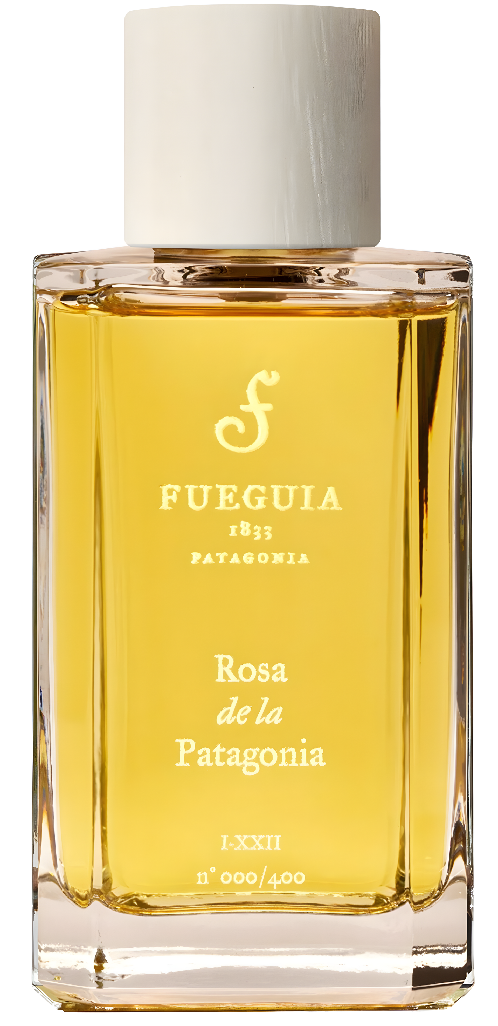 Rosa de La Patagonia by Fueguia 1833