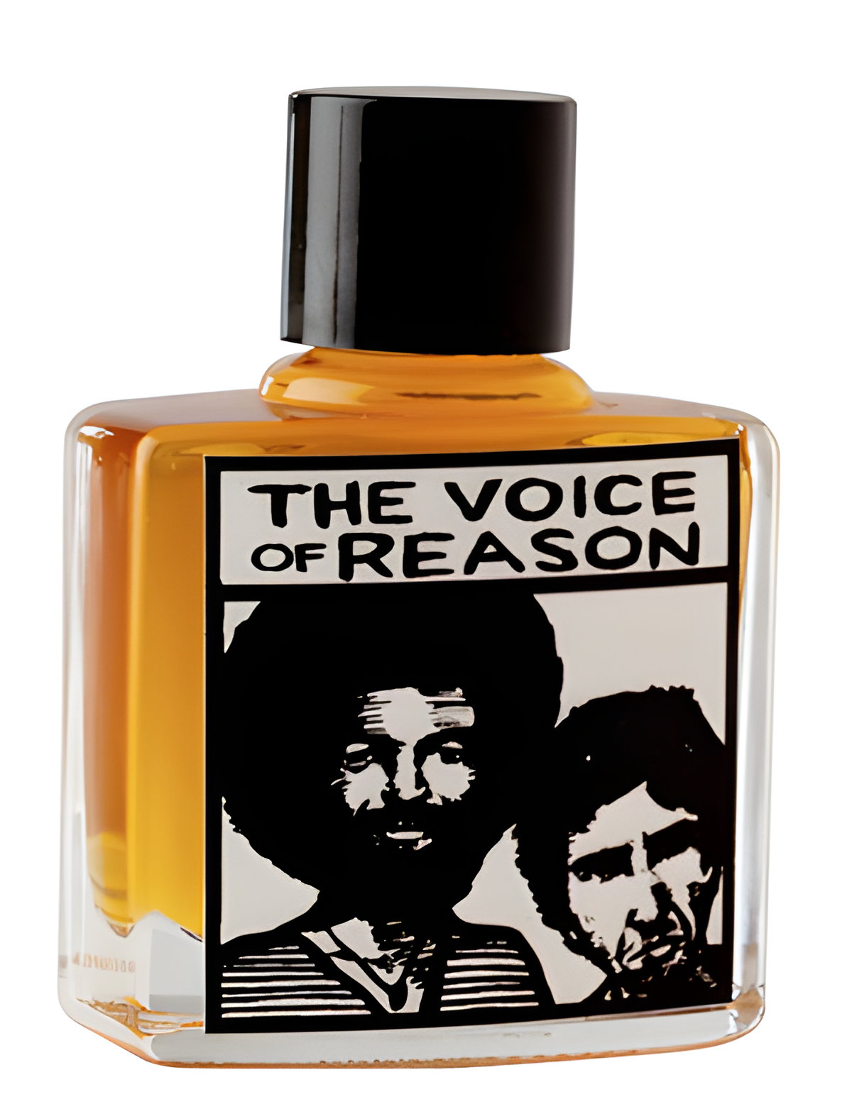 The Voice of Reason by Lush perfume bottle