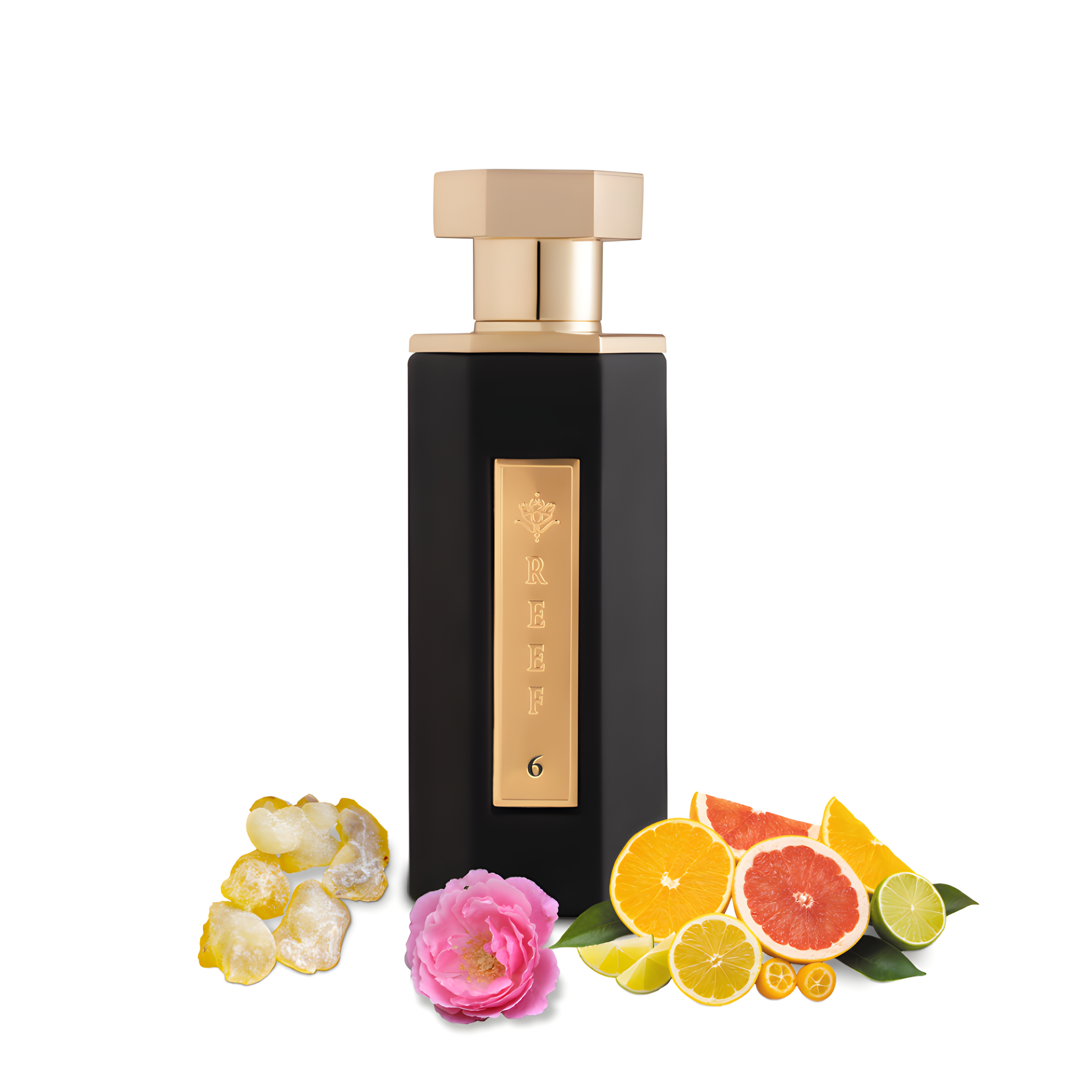 Reef 06 by Reef Perfumes perfume bottle