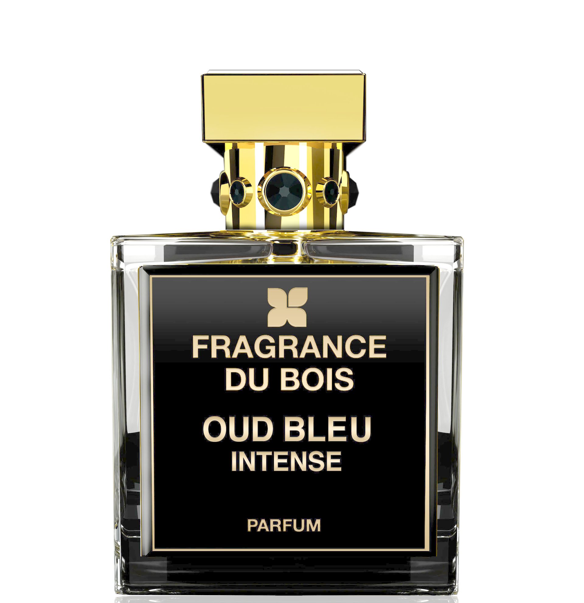 Oud Bleu Intense by Fragrance Du Bois perfume bottle