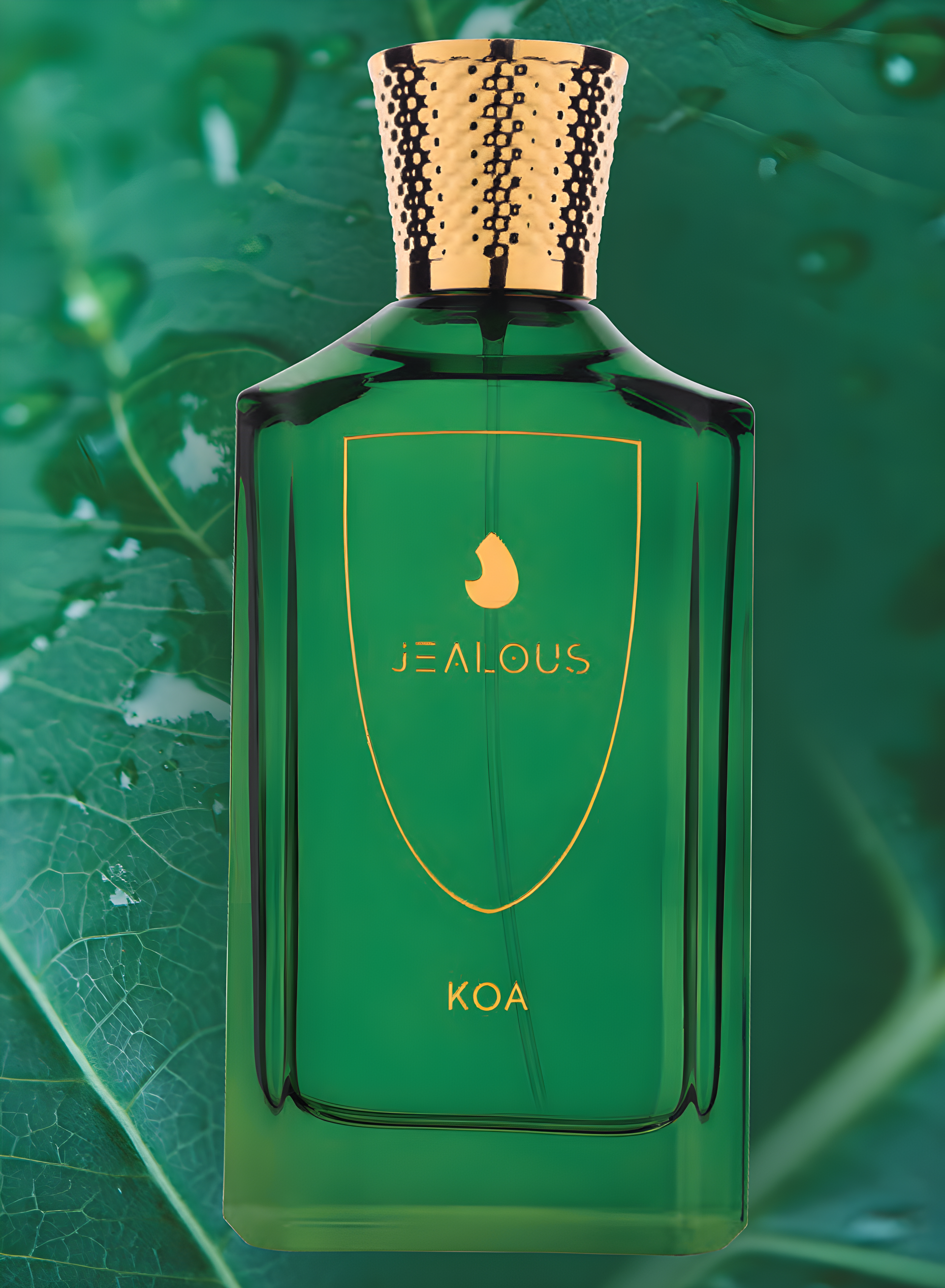 Koa by Jealous perfume bottle