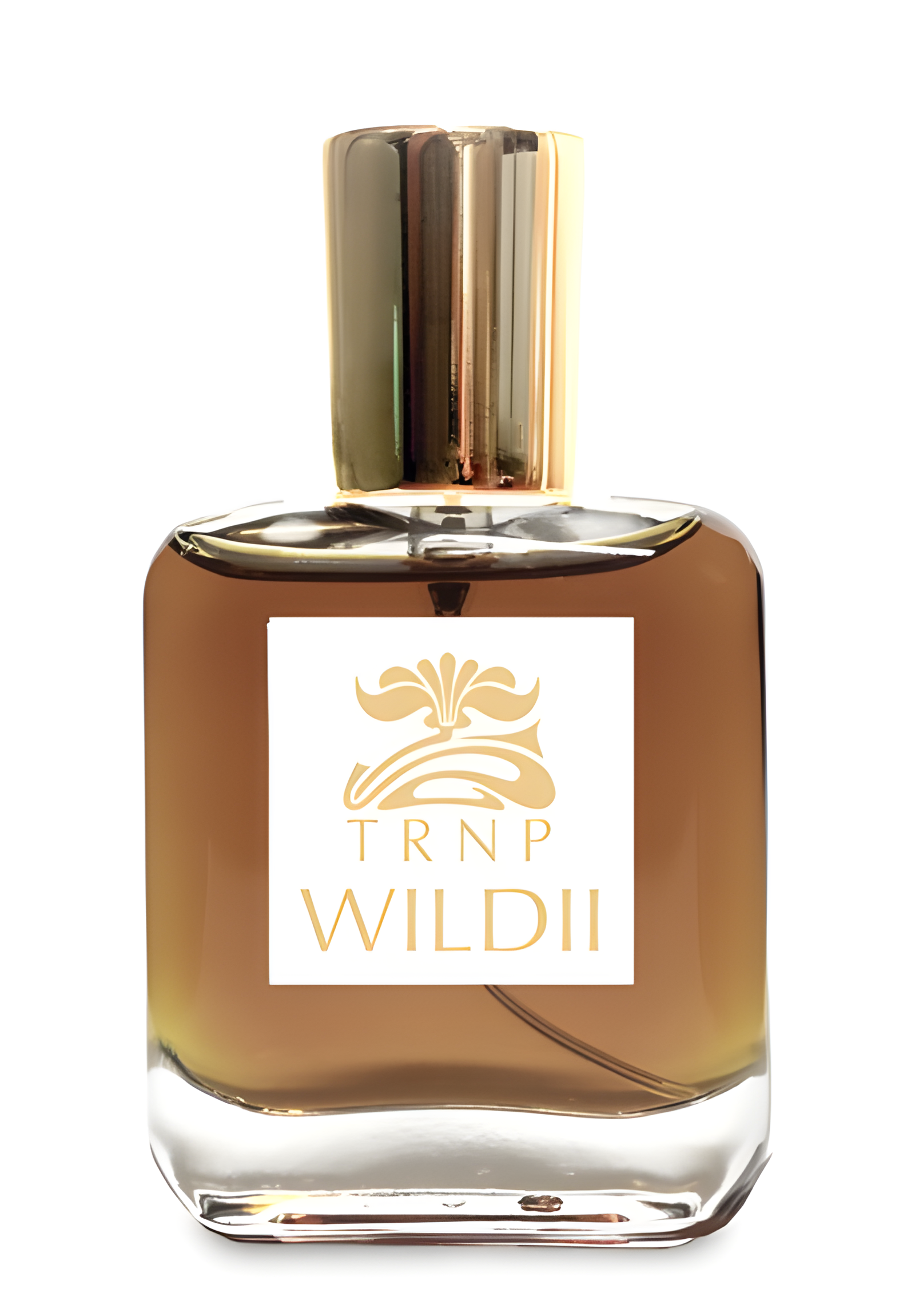 Wildii by TRNP perfume bottle