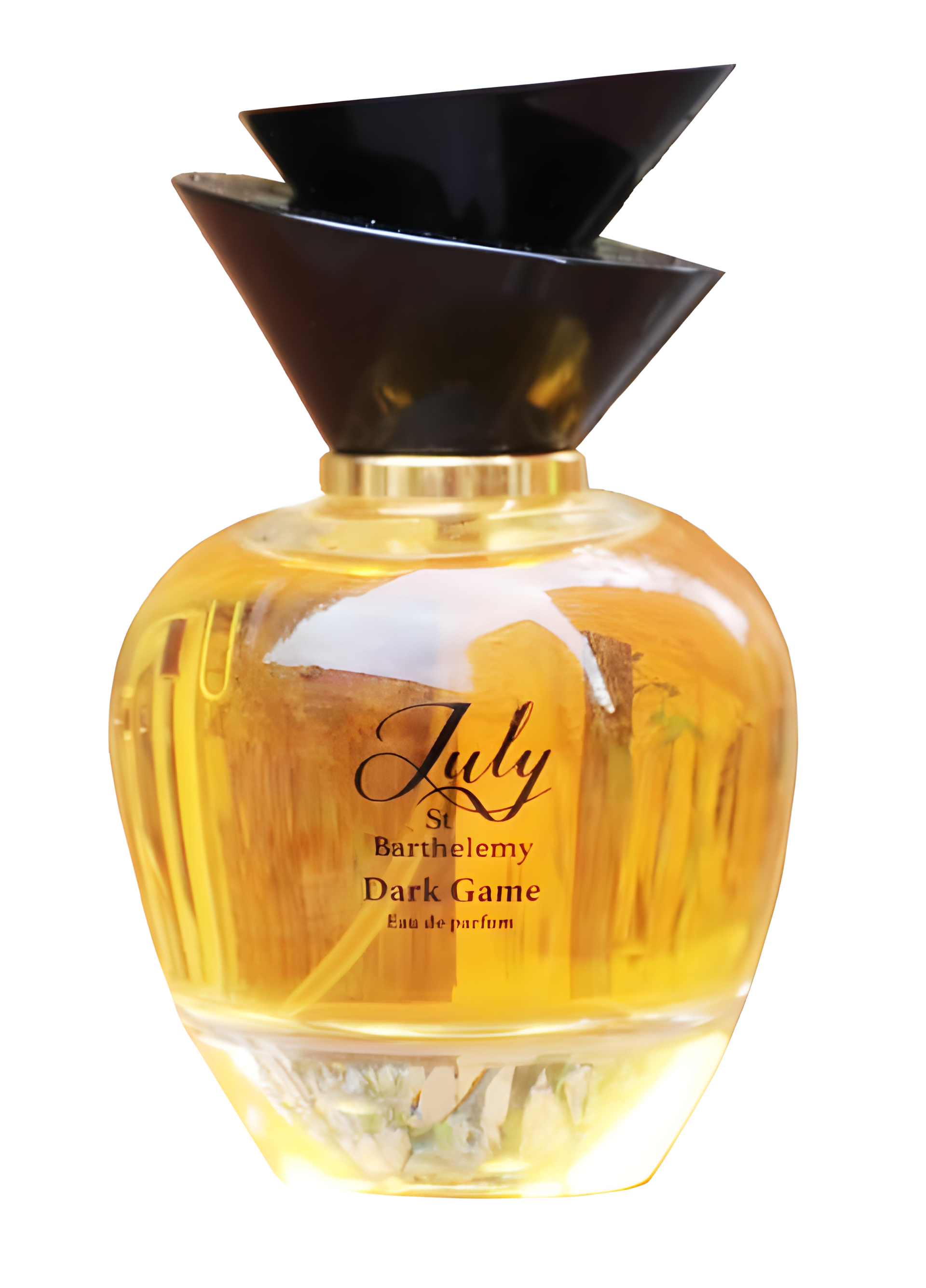 Dark Game by July St Barthelemy perfume bottle