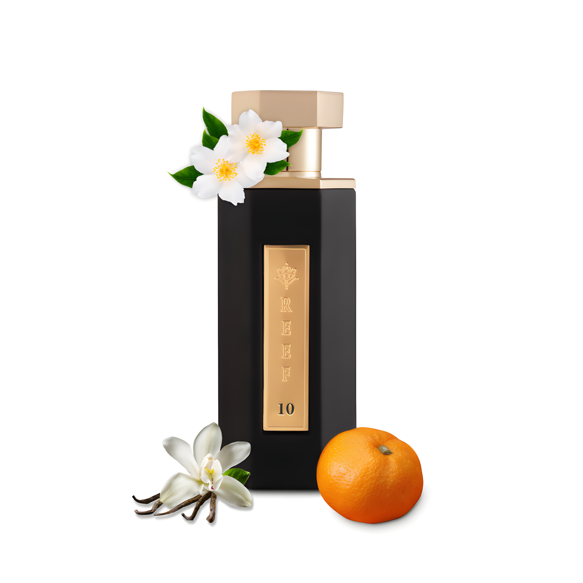 Reef 10 by Reef Perfumes perfume bottle