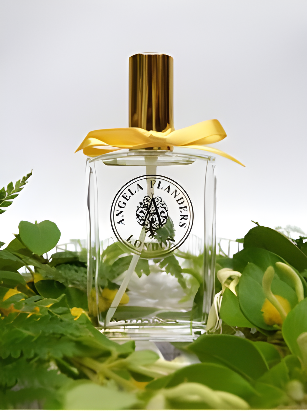 Mimosa by Angela Flanders perfume bottle