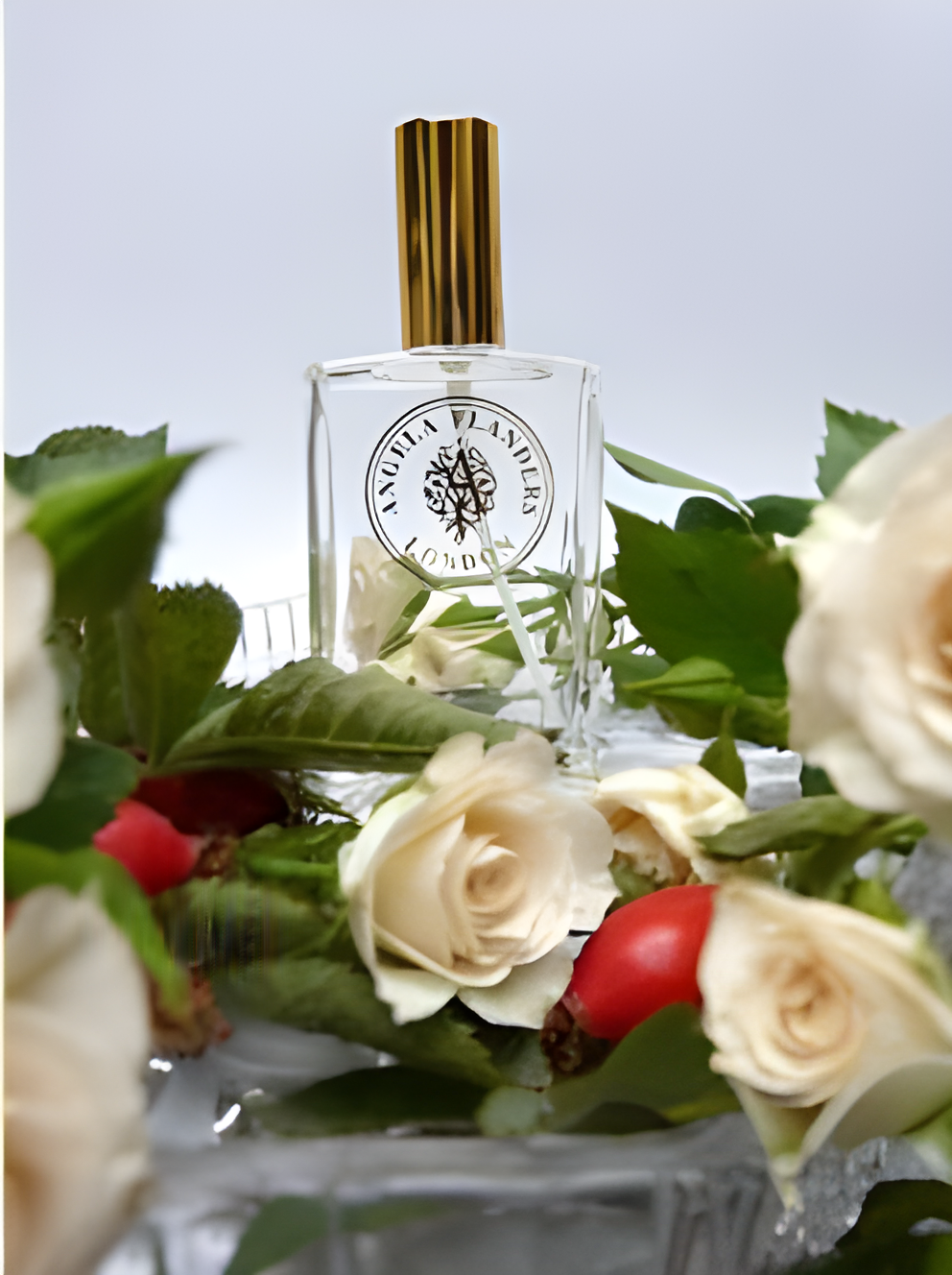 Rose Sauvage by Angela Flanders perfume bottle