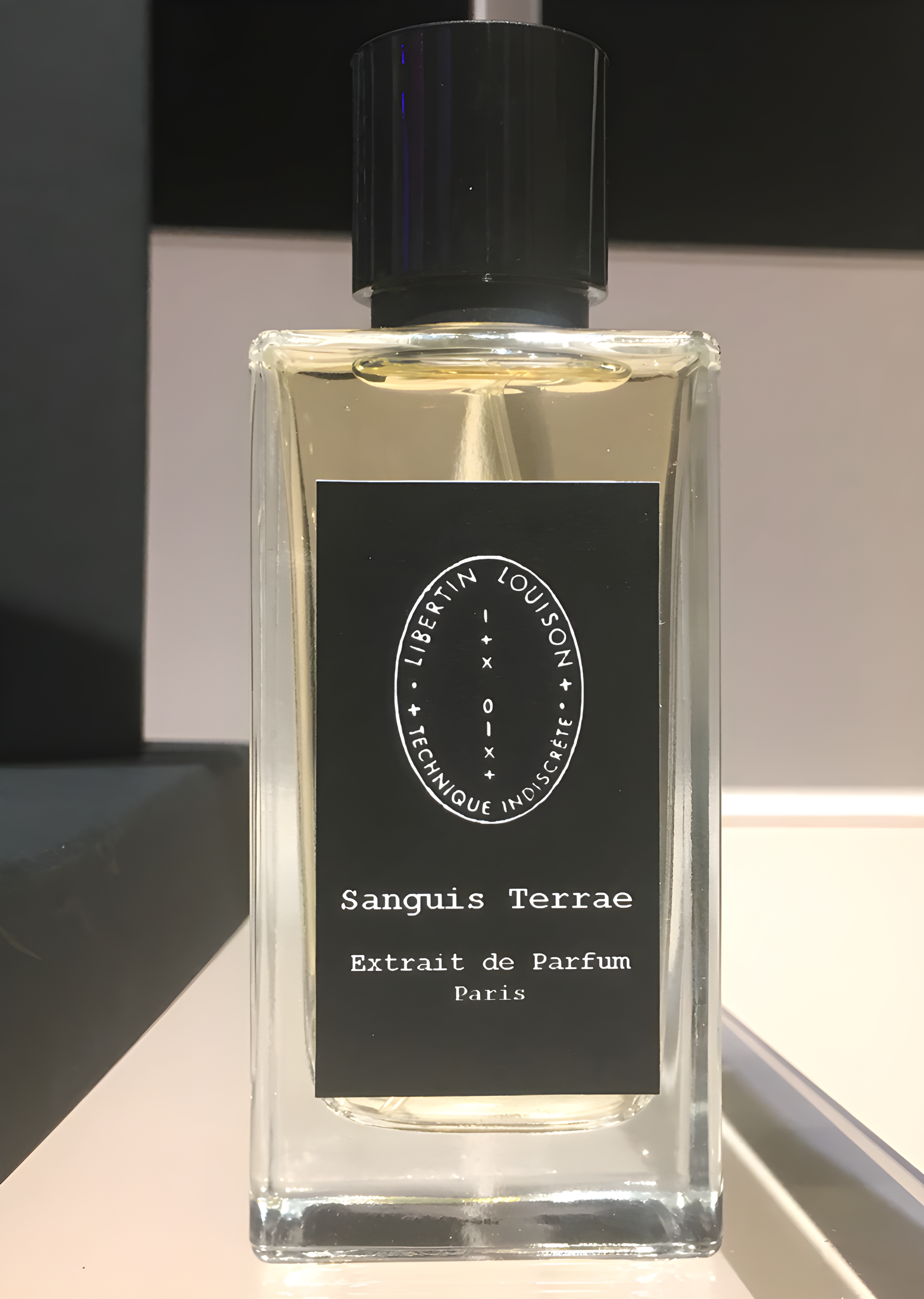 Libertin Louison Technique Indiscrete Sanguis Terrae