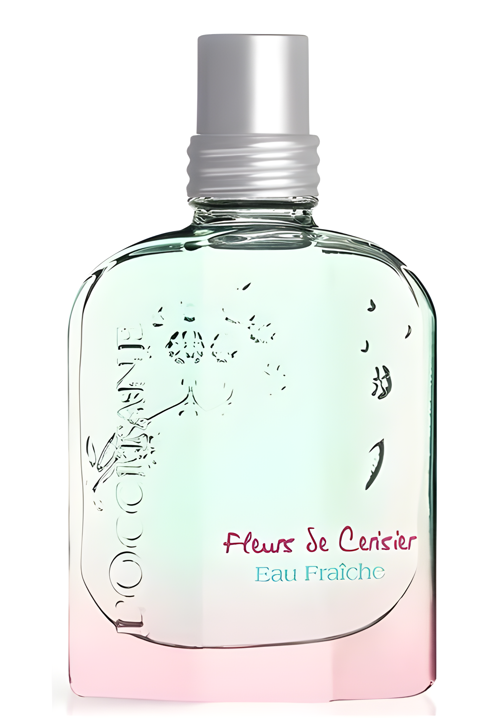 Fleurs de Cerisier Eau Fraîche by L'Occitane en Provence perfume bottle
