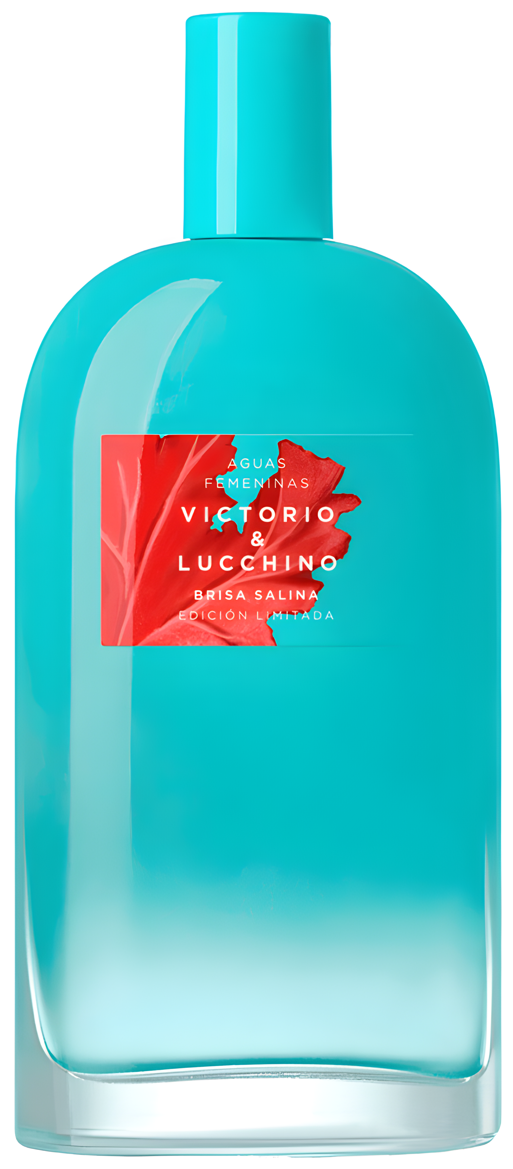 Brisa Salina by Victorio & Lucchino perfume bottle