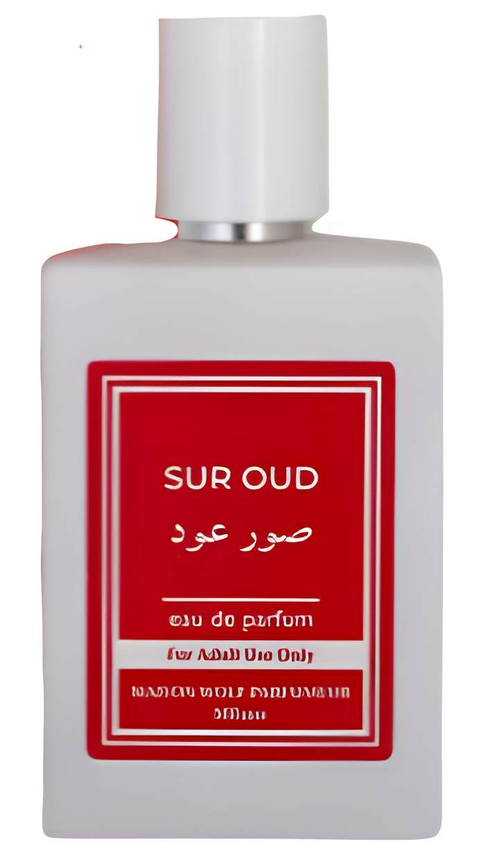 Sur Oud by Maison Wolf Parfumeur perfume bottle