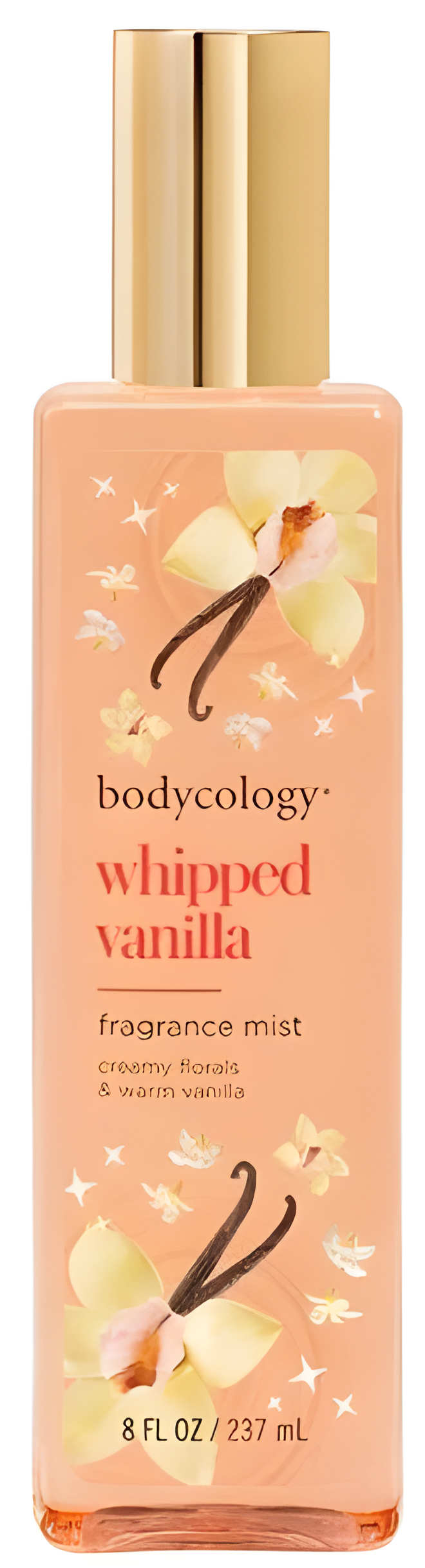 Whipped Vanilla by Bodycology perfume bottle