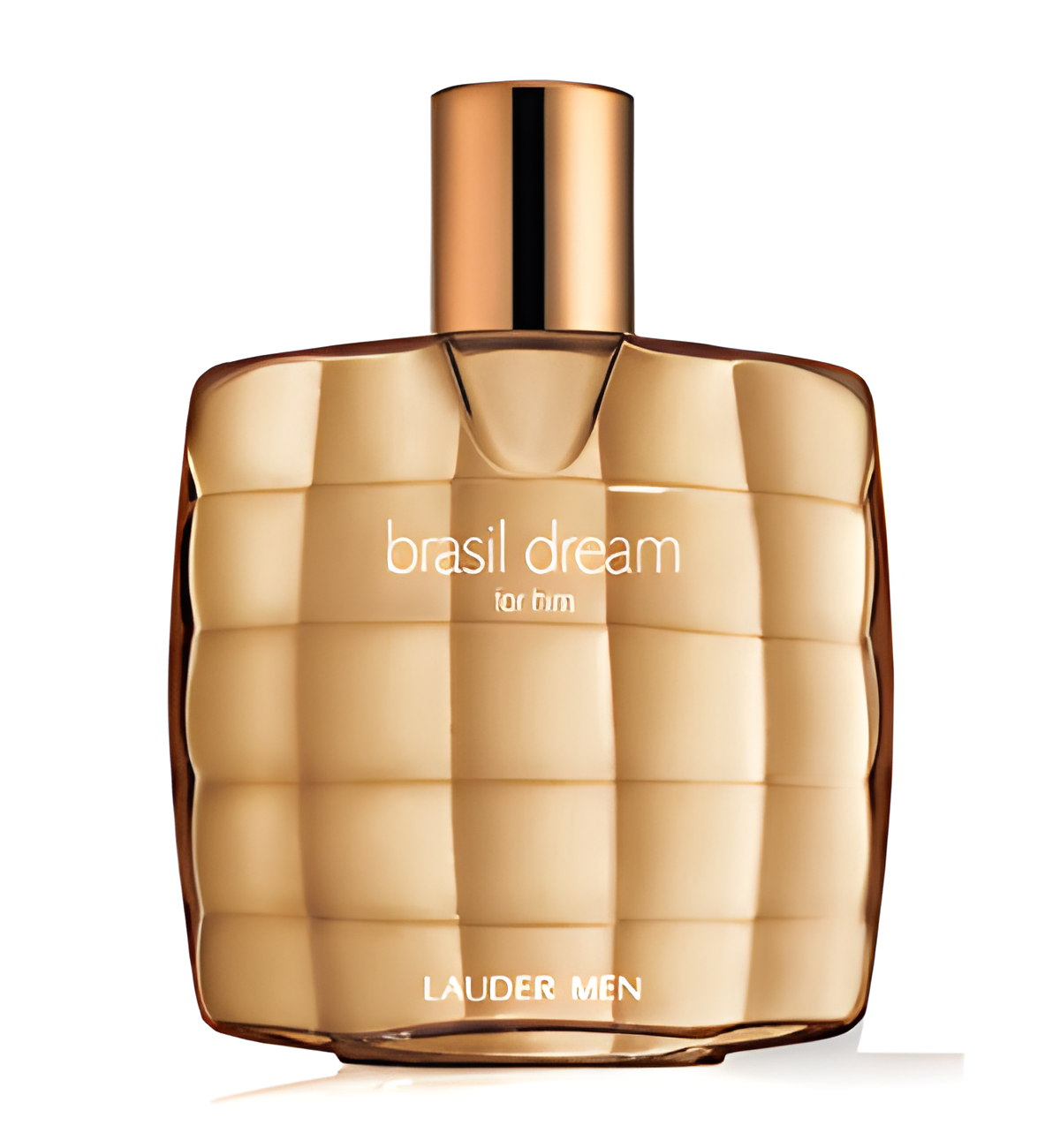 Brasil Dream for Him by Estée Lauder perfume bottle