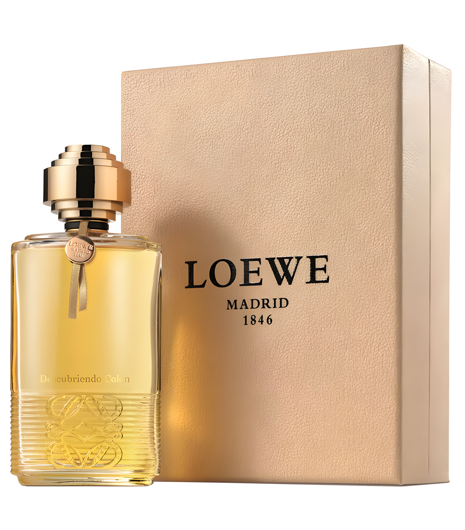 Descubriendo Colón by Loewe perfume bottle