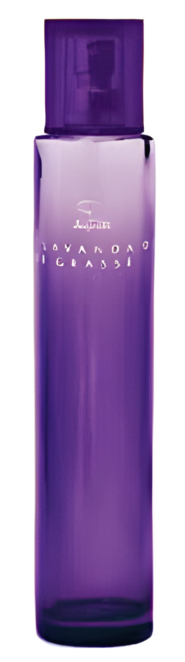Lavanda de Grasse by Jequiti perfume bottle