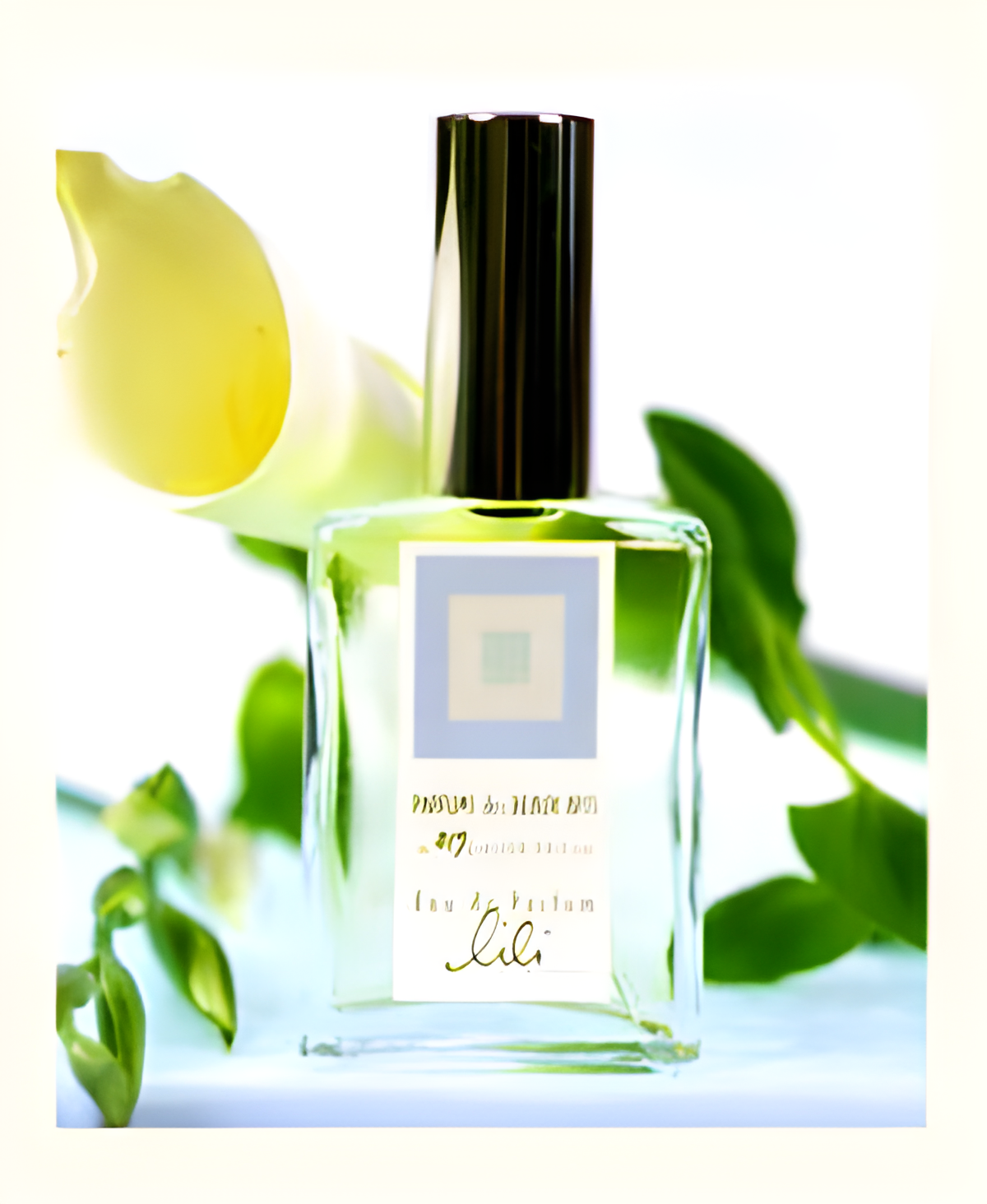 LiLi by DSH Perfumes perfume bottle