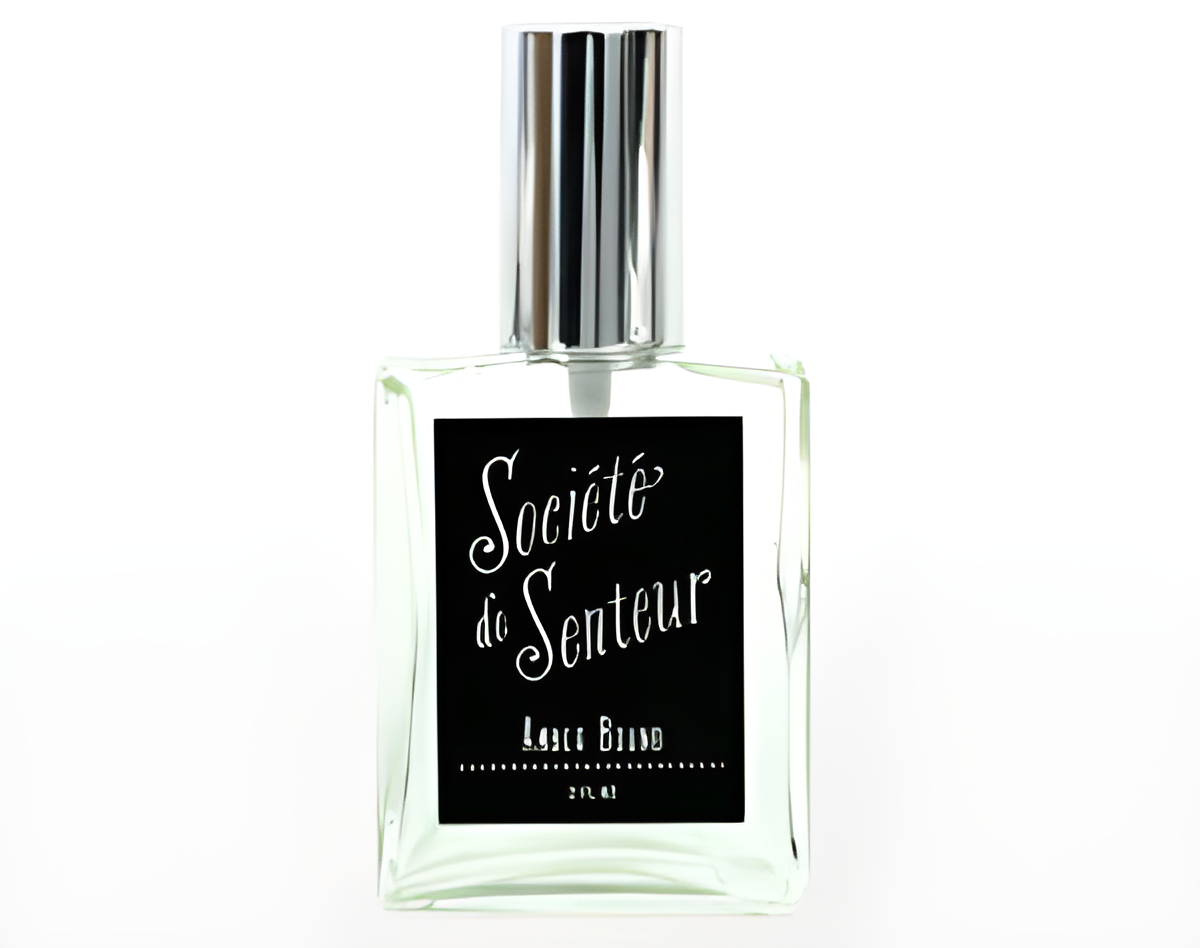 Amber Bound by West Third Brand perfume bottle