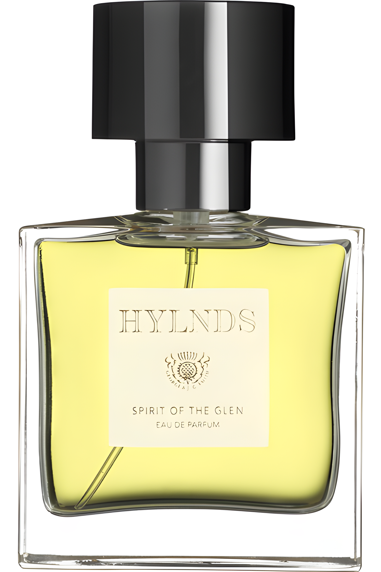 Spirit of the Glen by DS&Durga perfume bottle